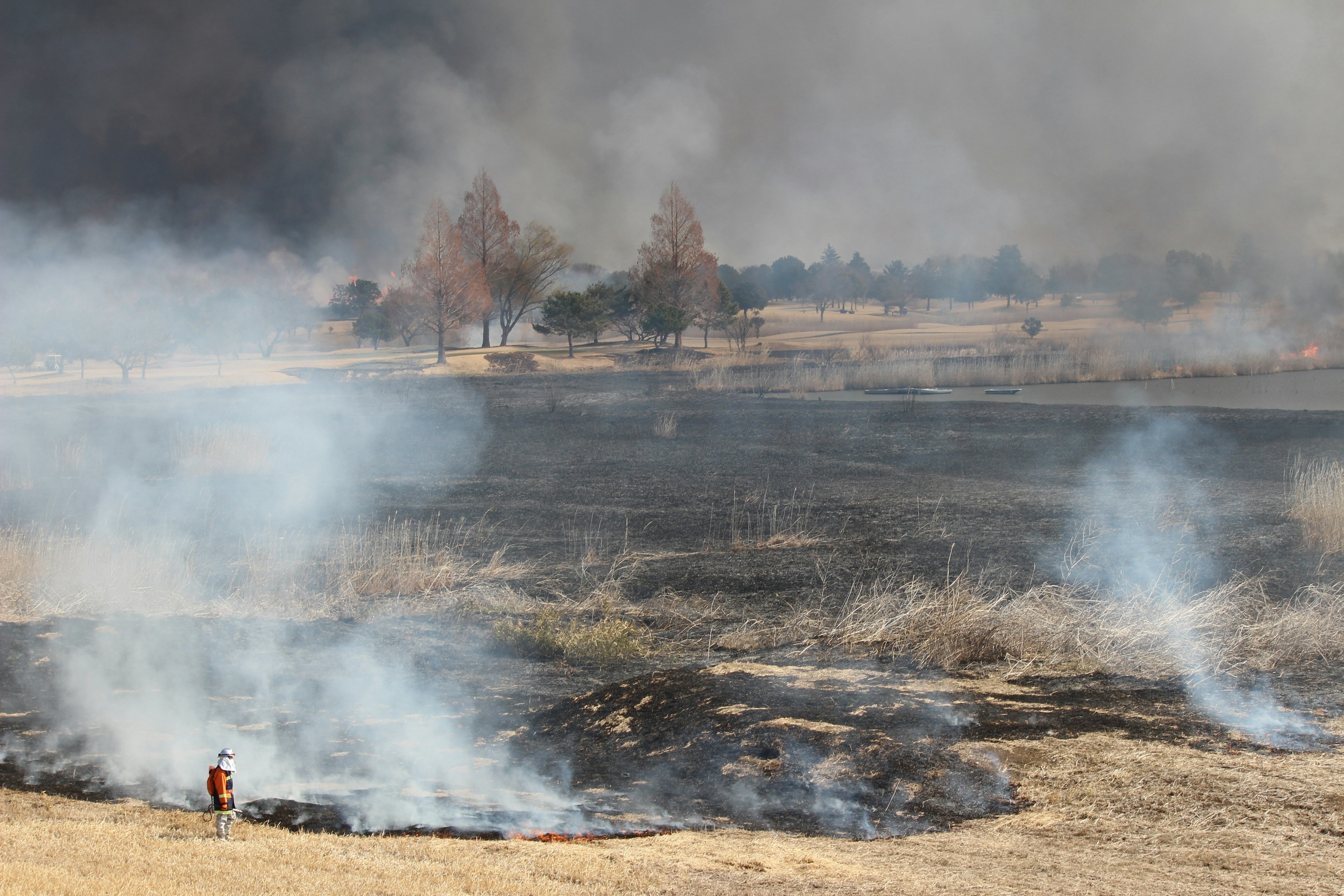 Humo que se eleva de un campo quemado con un bombero realizando labores de extinción