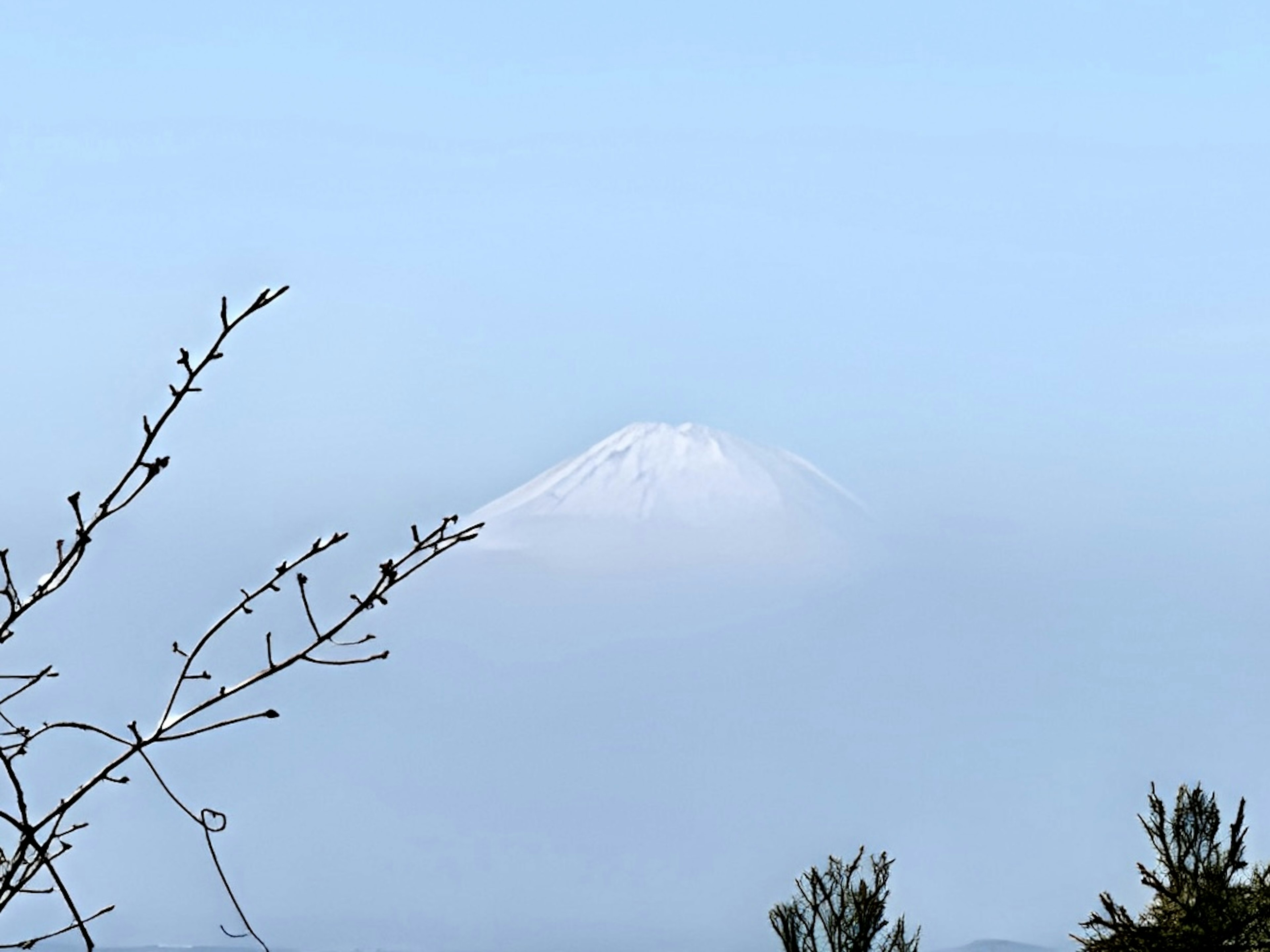 Snow-capped mountain visible in a clear blue sky