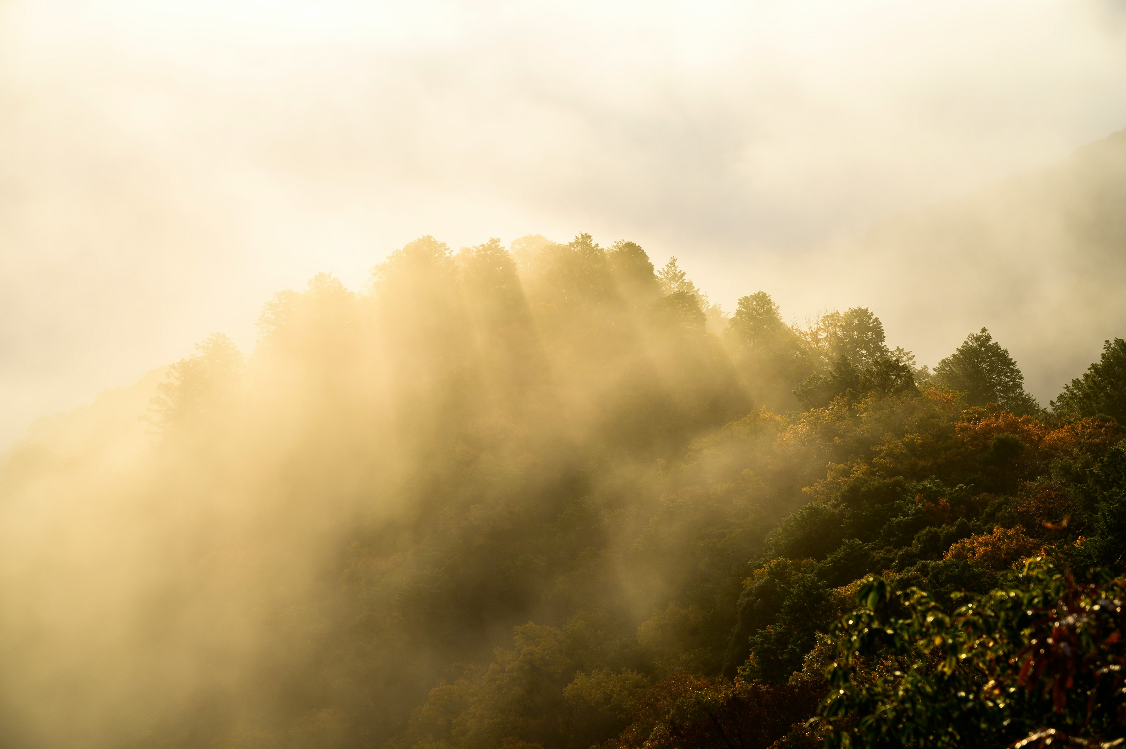 霧に包まれた山々と光線が差し込む幻想的な風景