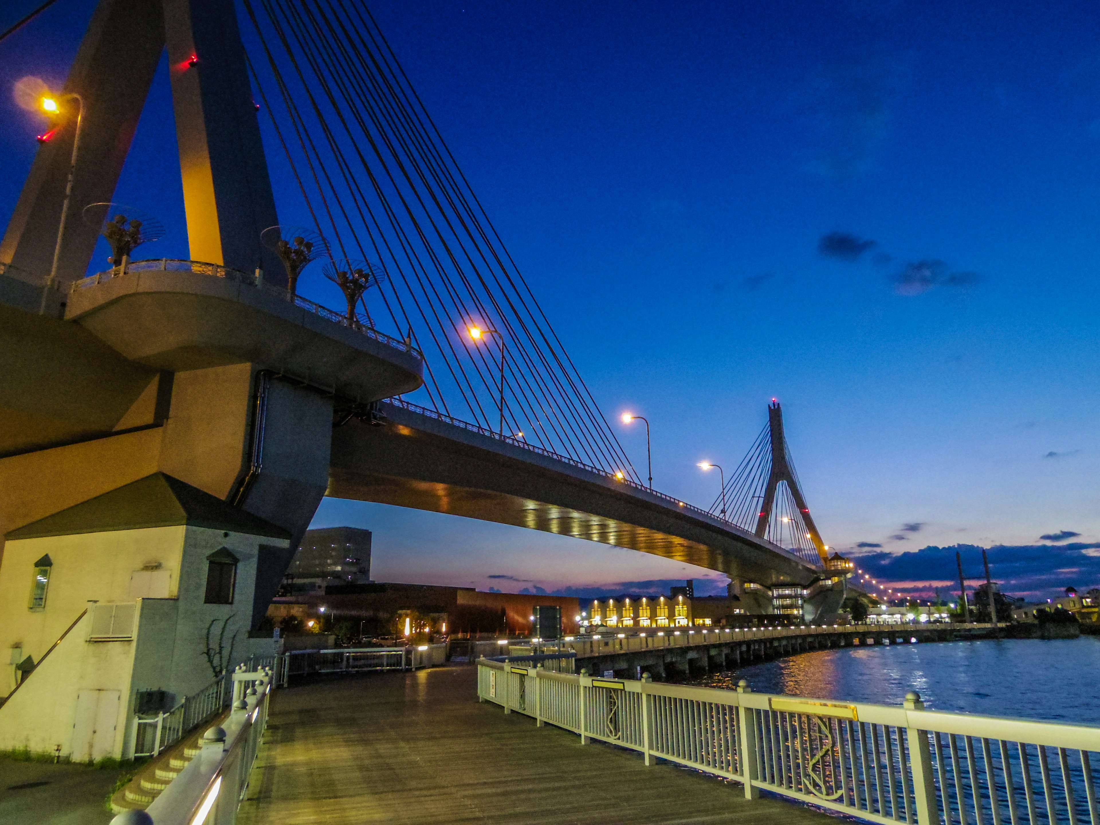 Night view of a bridge with waterfront scenery