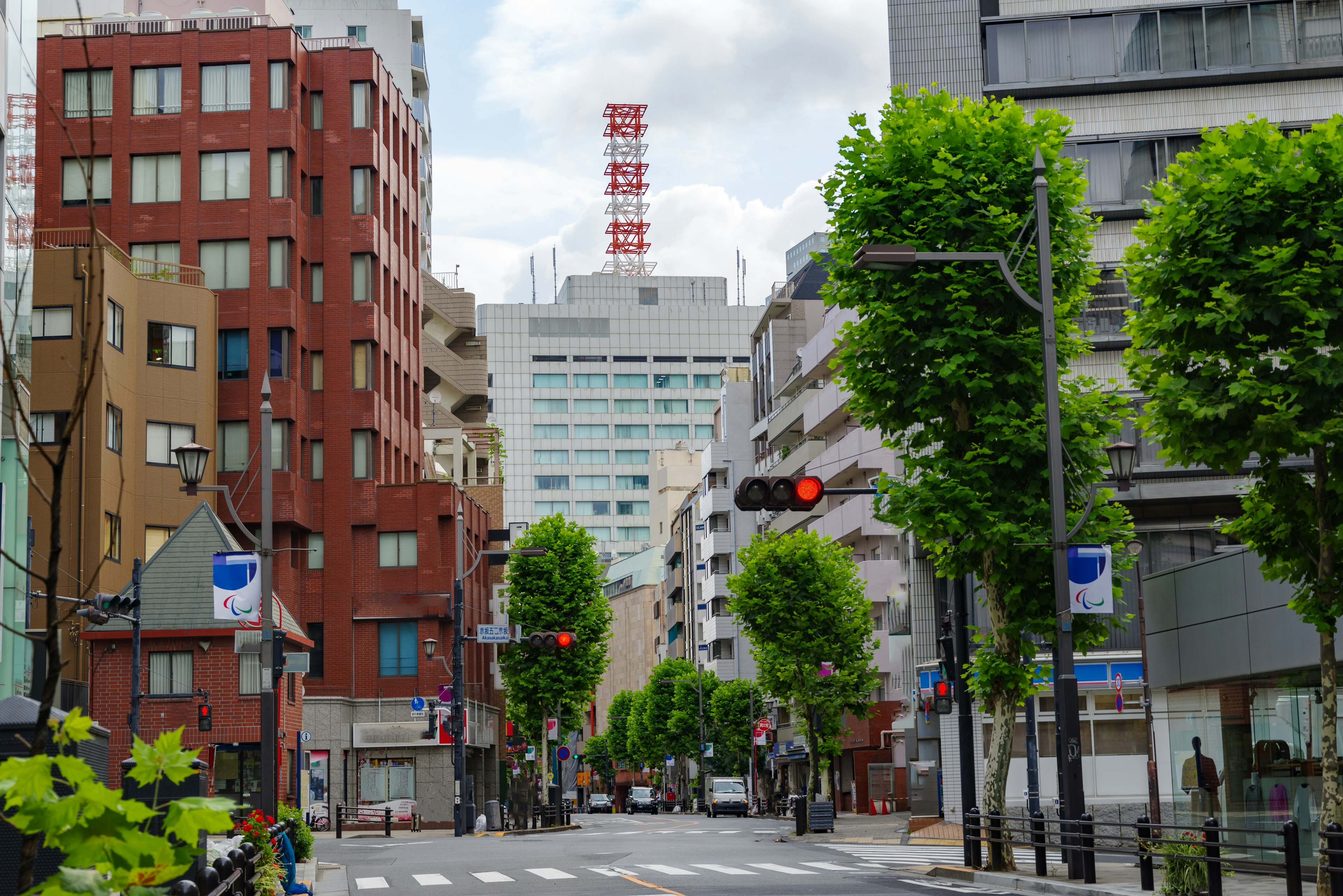 東京の街並みと緑の木々のある通り