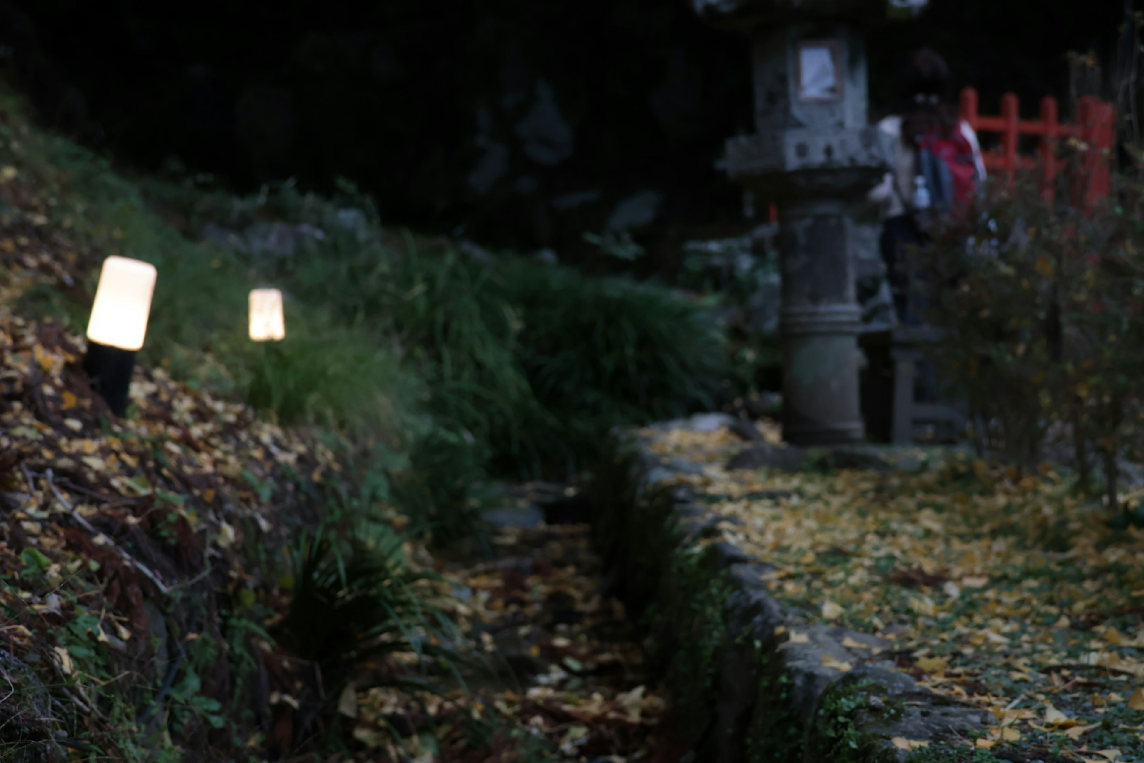 Pathway illuminated by lanterns in a dark garden with fallen leaves