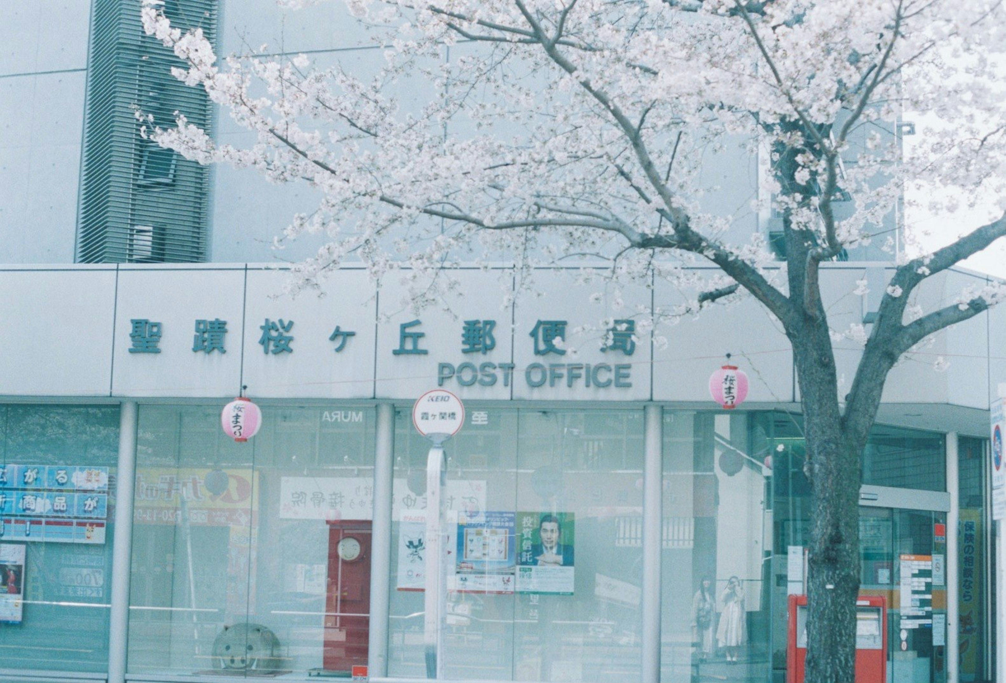 Vista exterior de una oficina de correos con cerezos en flor