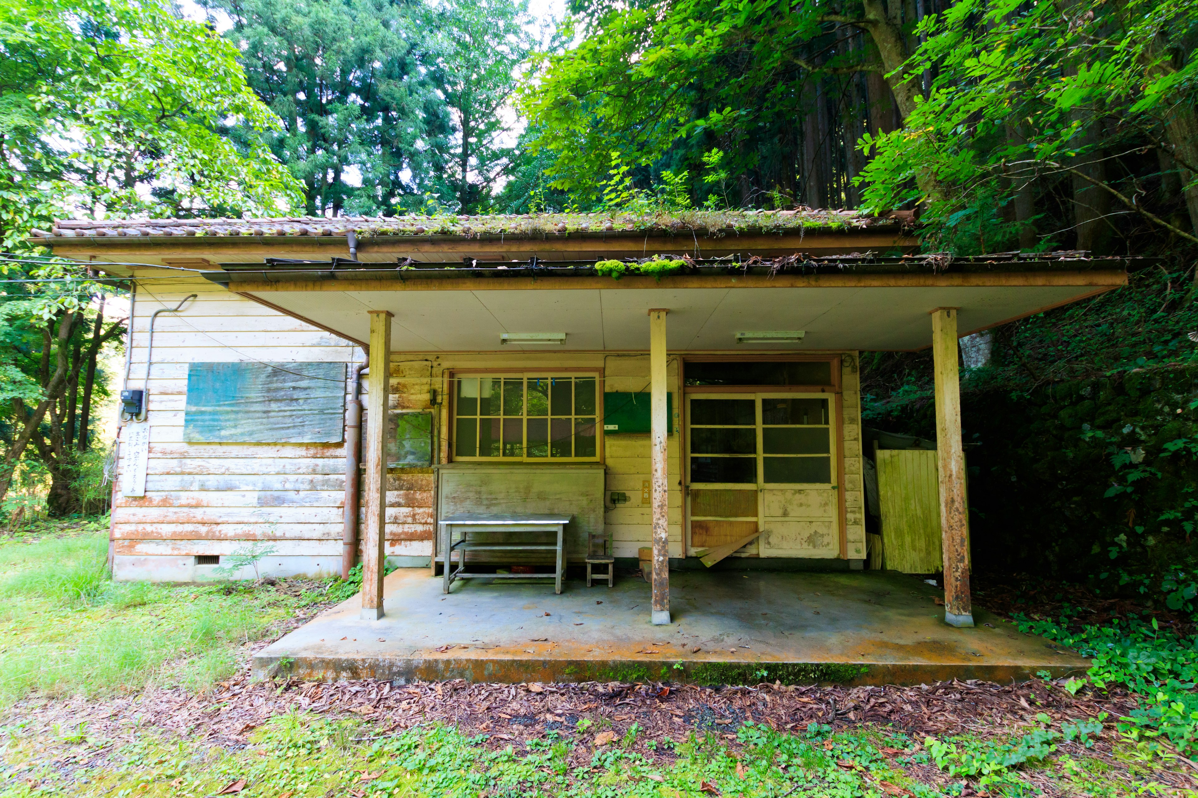 Exterior view of an old cabin surrounded by greenery