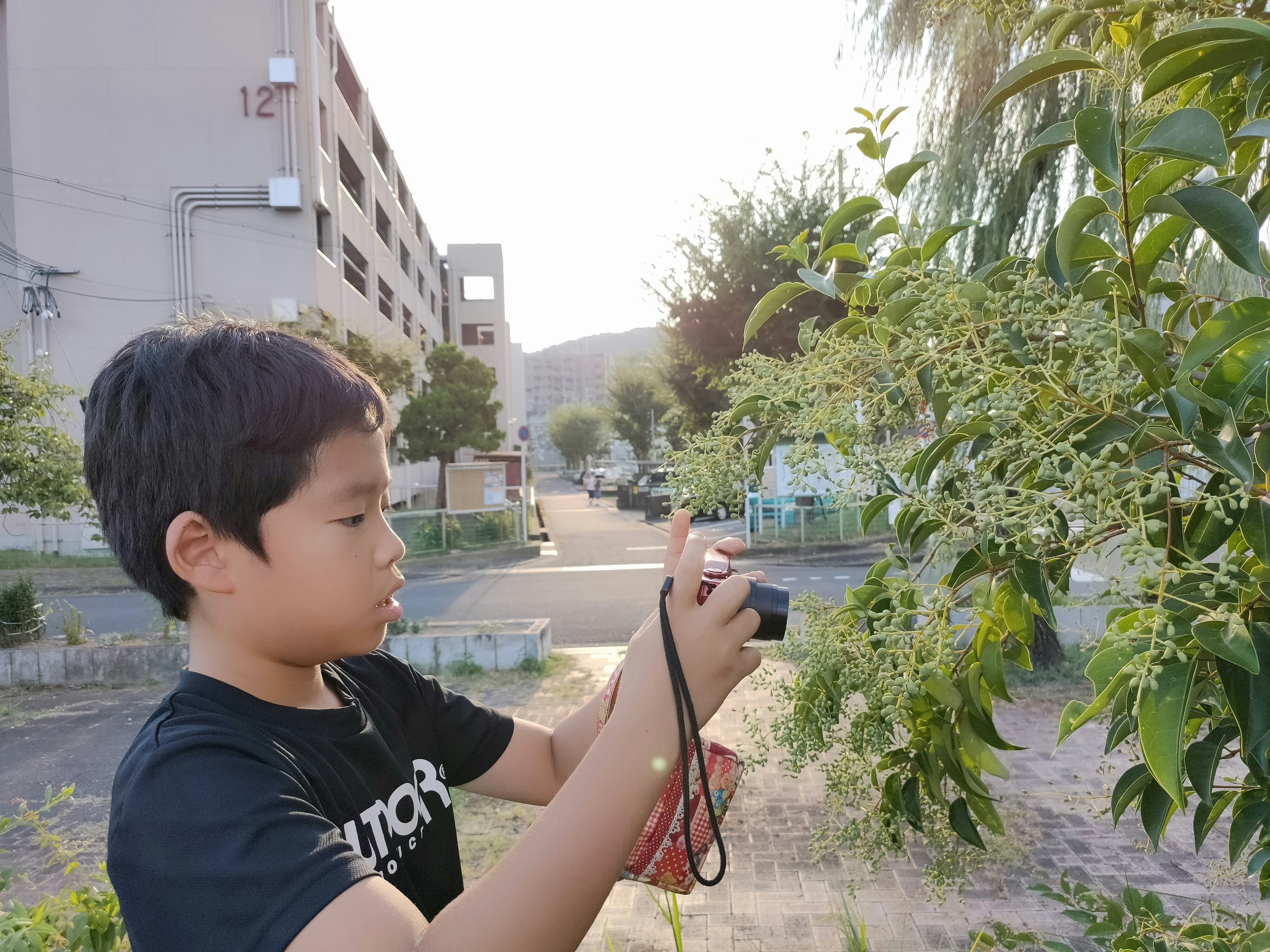 A boy photographing flowers on a plant with a camera