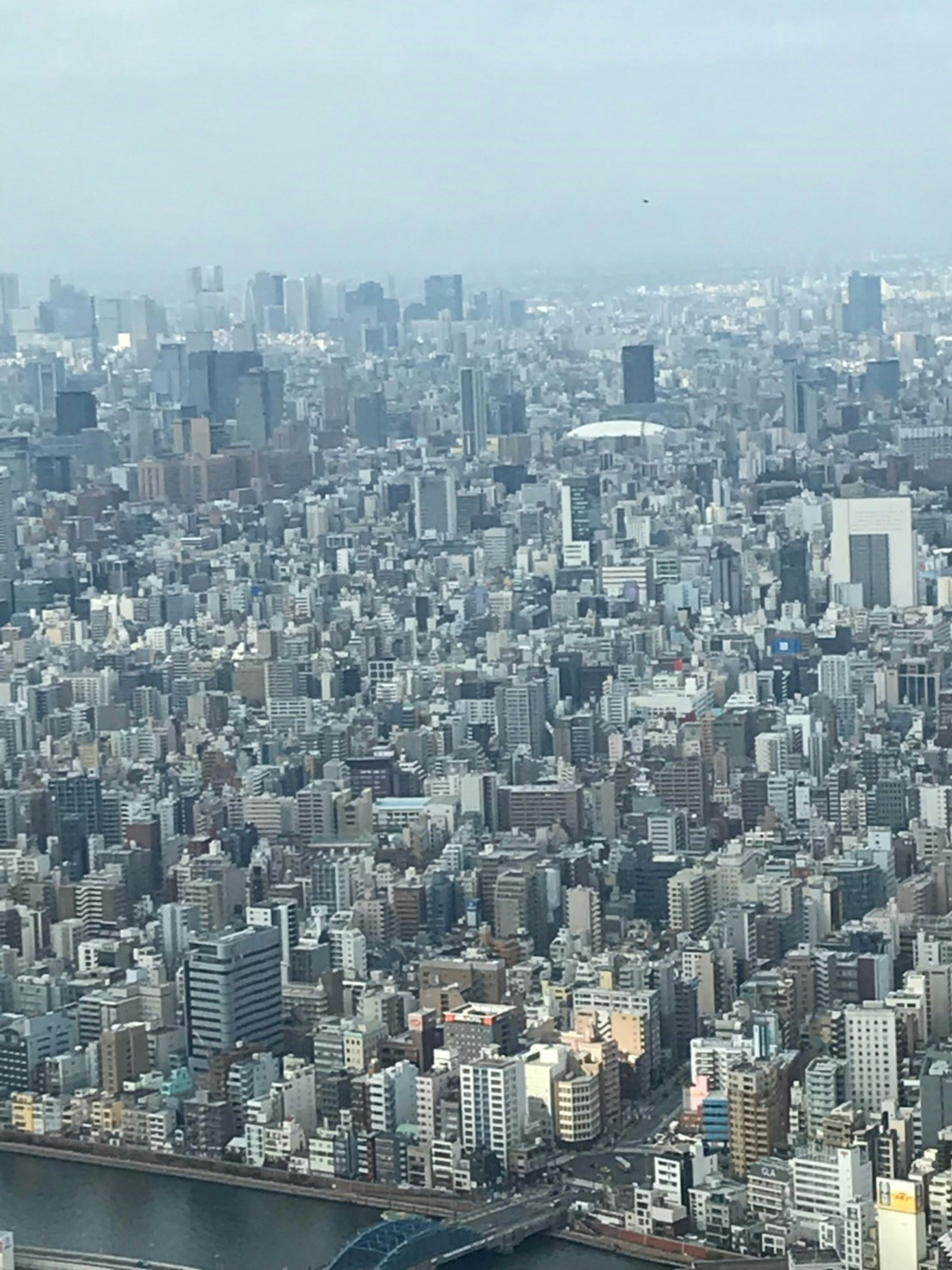 東京の高層ビル群の広がりを捉えた写真