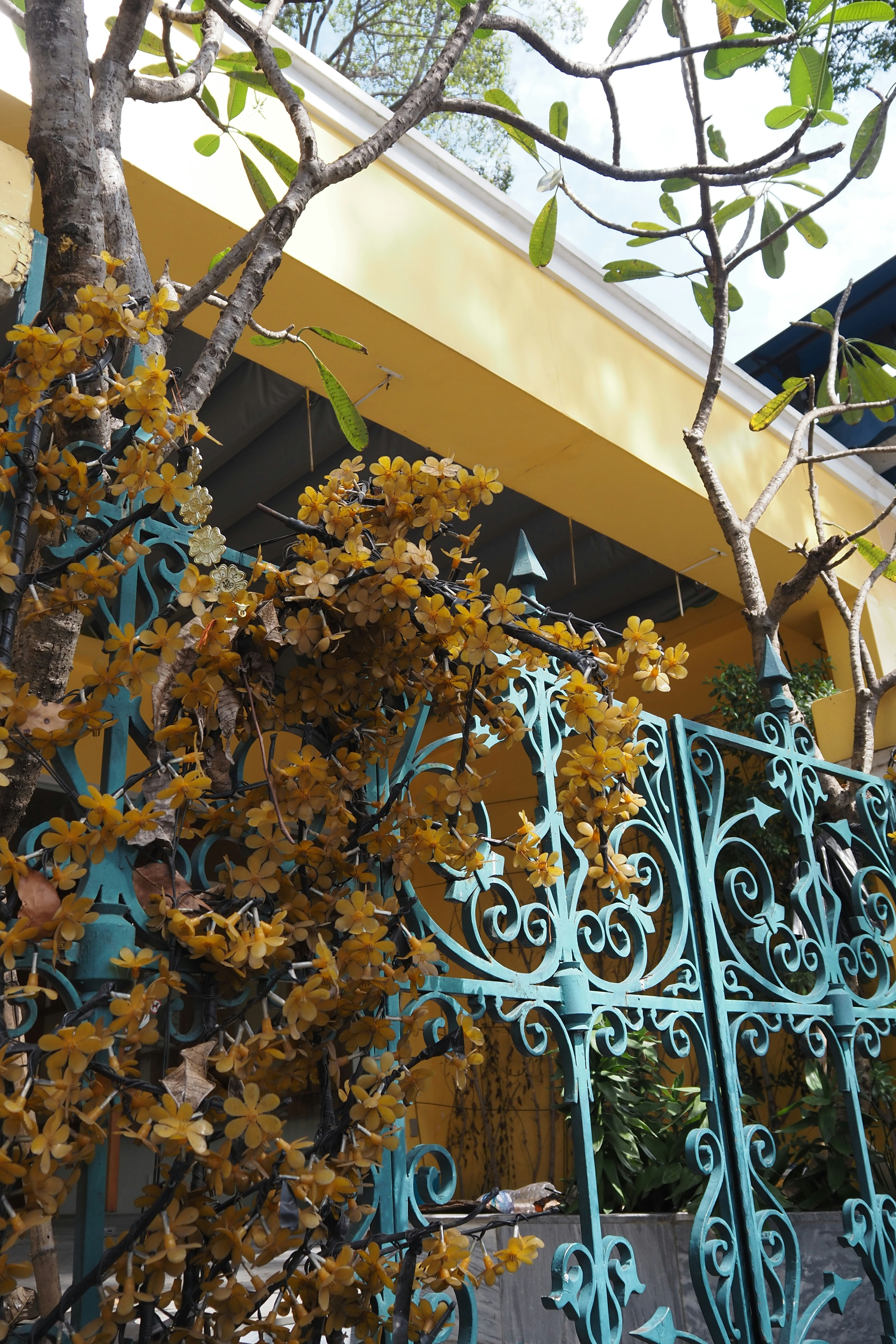 Yellow wall with blue iron gate adorned with yellow flowers