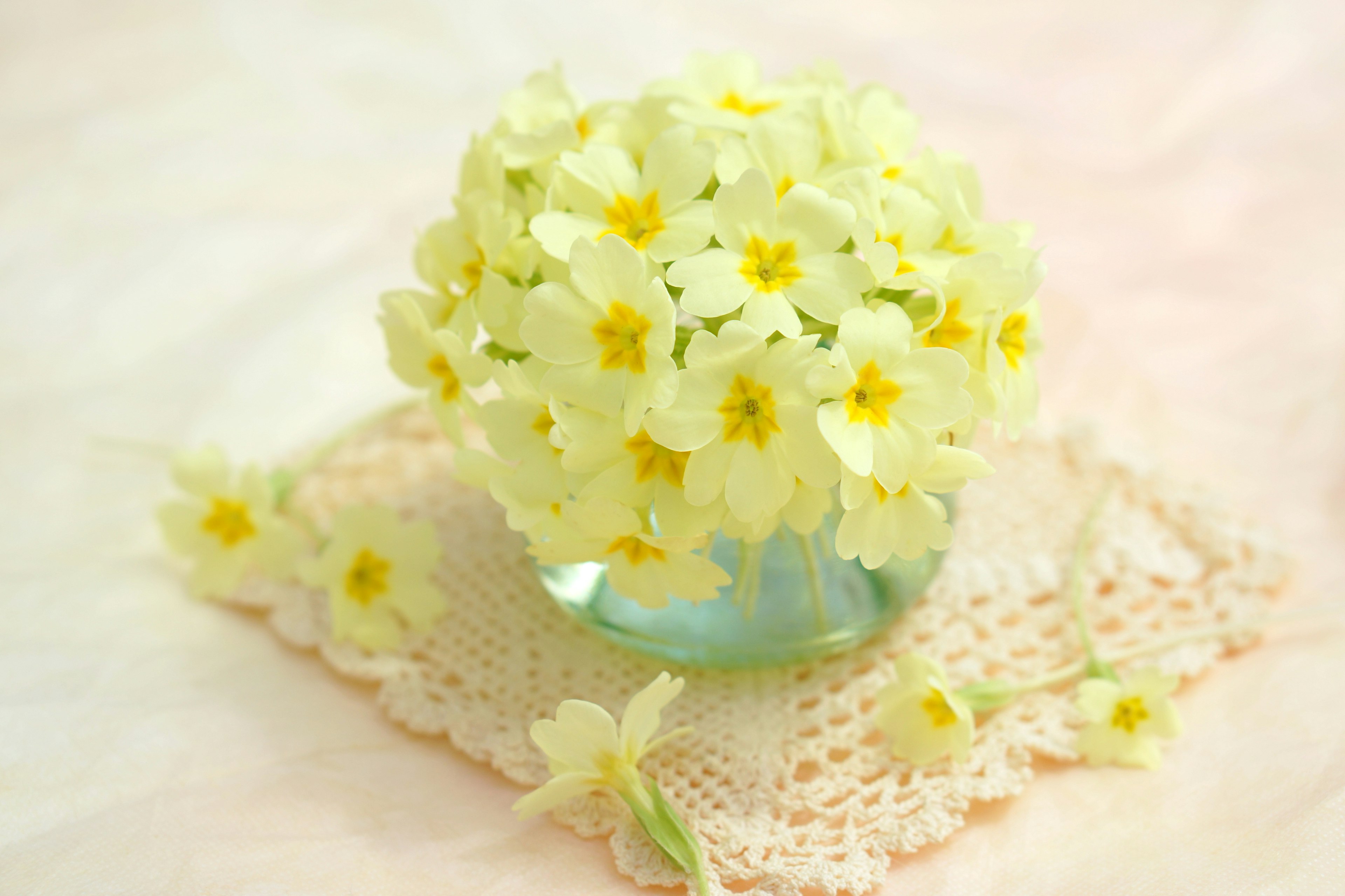 Un piccolo vaso pieno di fiori gialli su un sottopiatto in pizzo