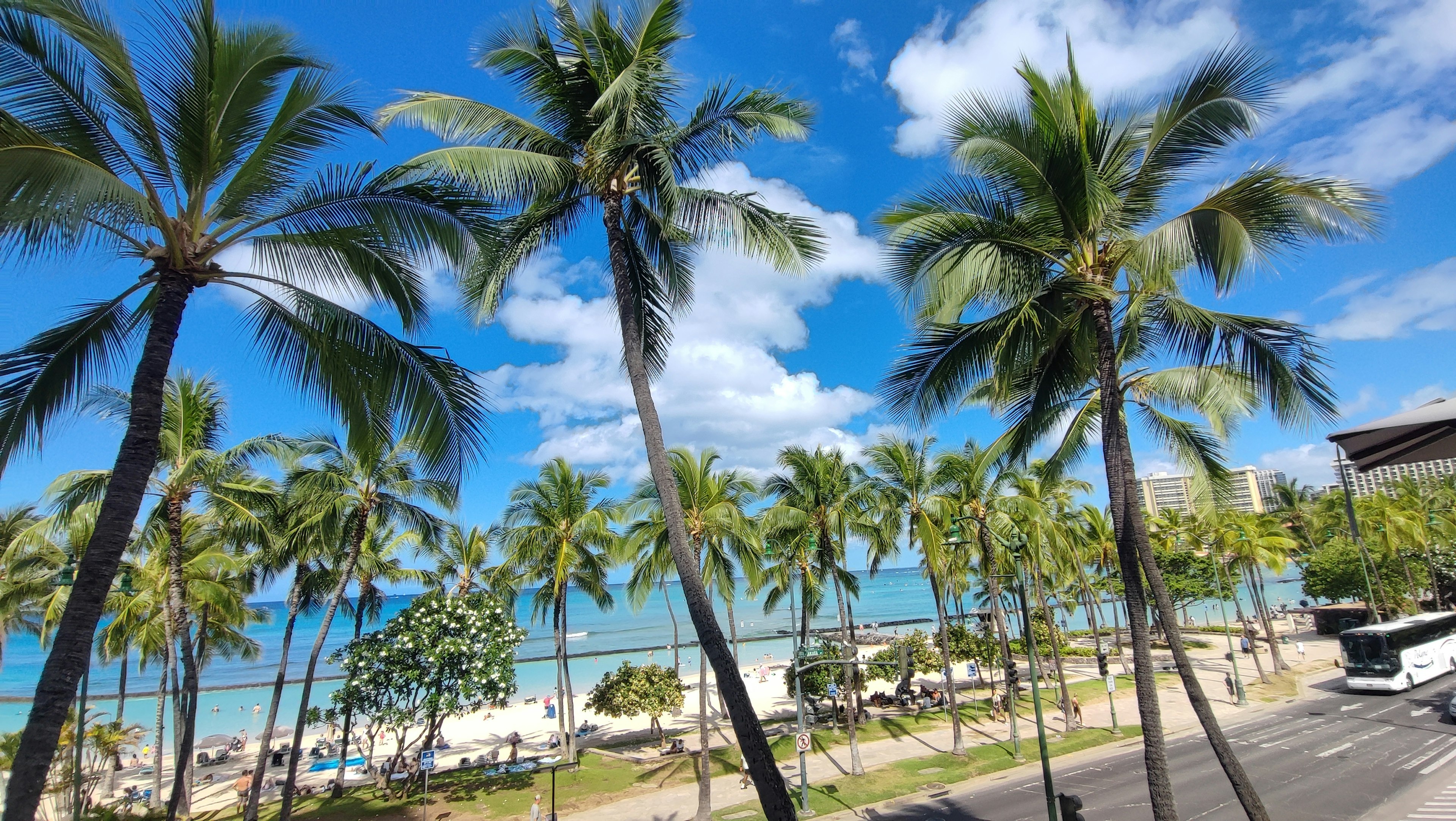 Vue de la plage avec des palmiers sous un ciel bleu