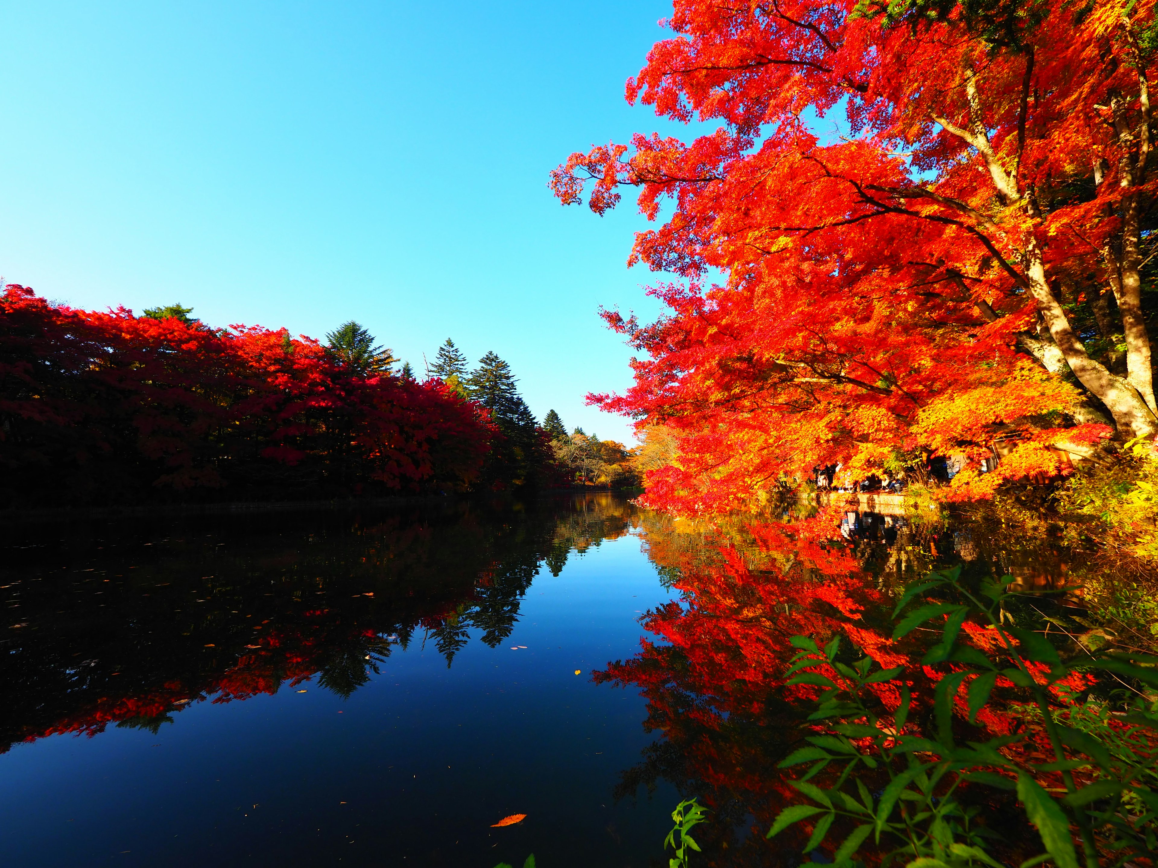 Foliage d'automne vibrant se reflétant sur un paysage de rivière tranquille