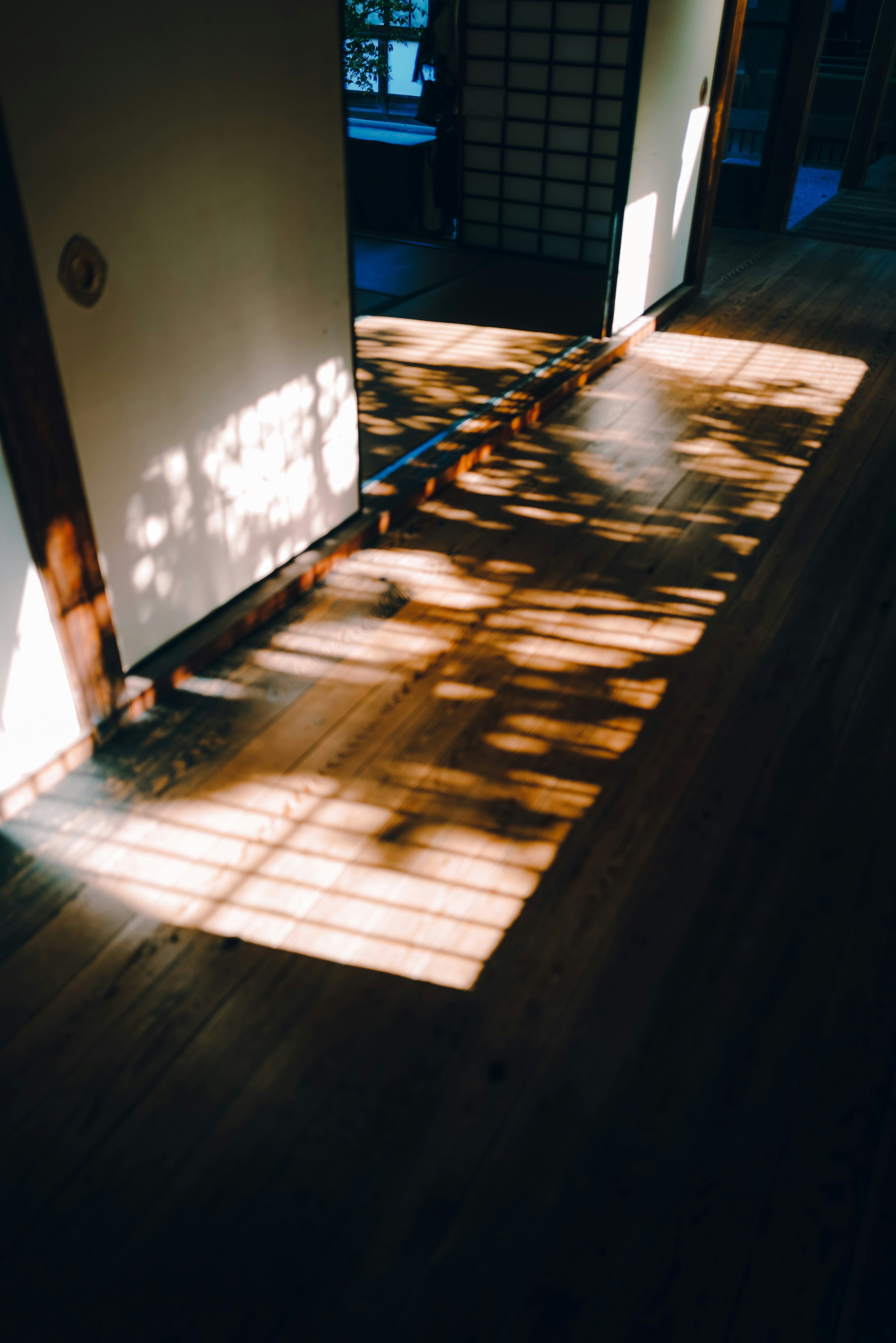 Innenraum eines japanischen Zimmers mit schönem Kontrast von Schatten und Licht auf dem Holzboden