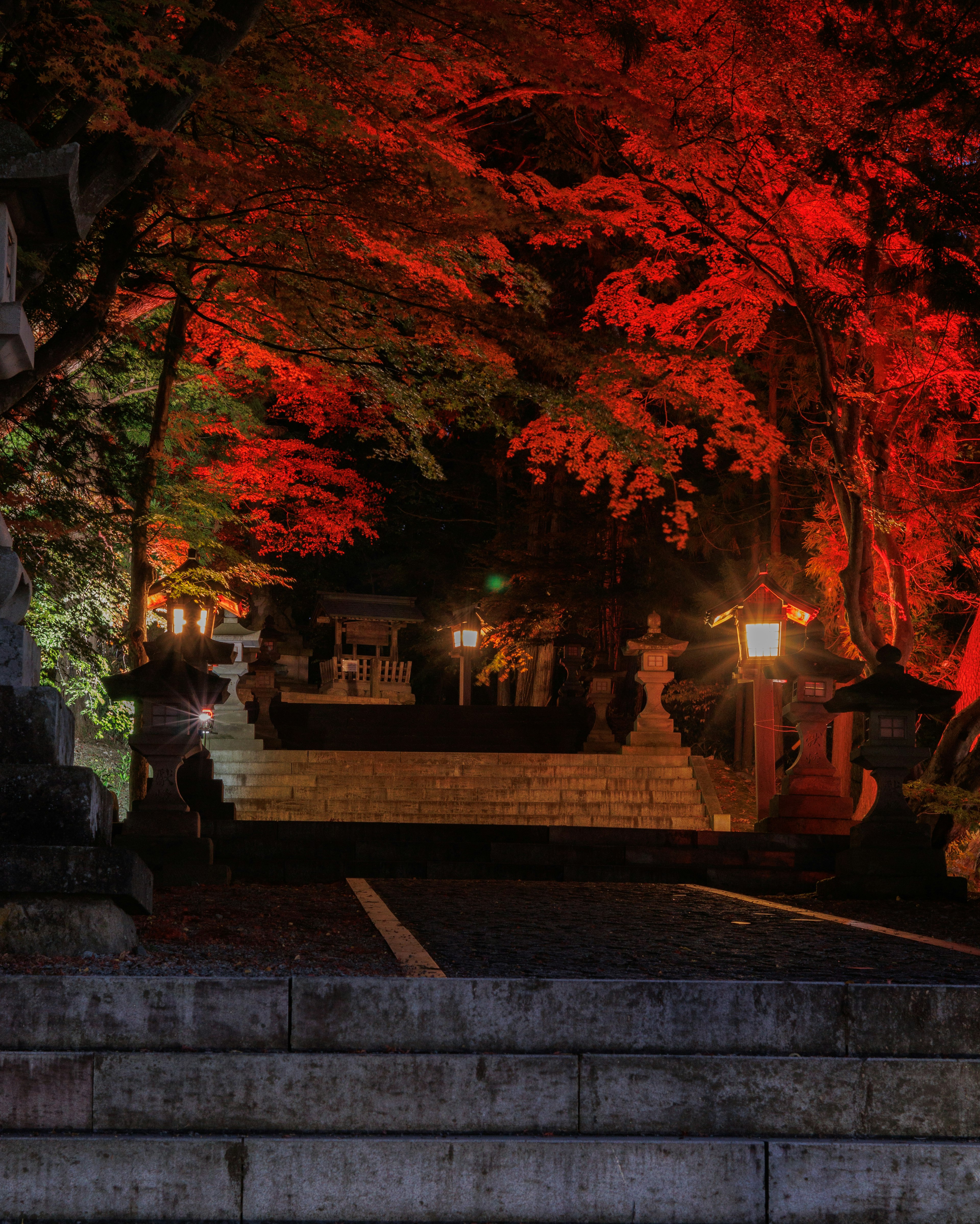 Stone steps leading to a shrine illuminated by red autumn leaves at night