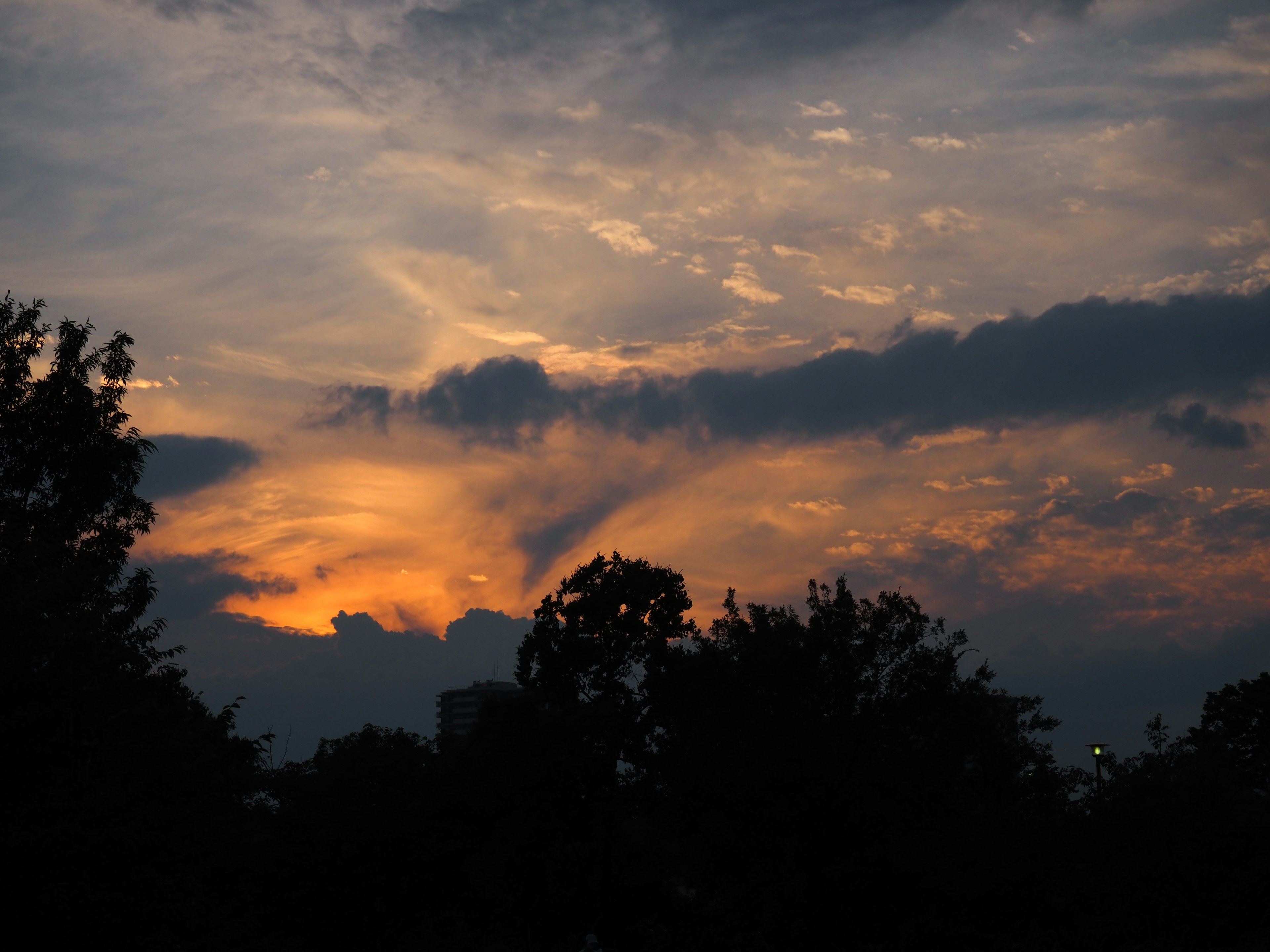 Ciel de coucher de soleil dramatique avec des arbres en silhouette