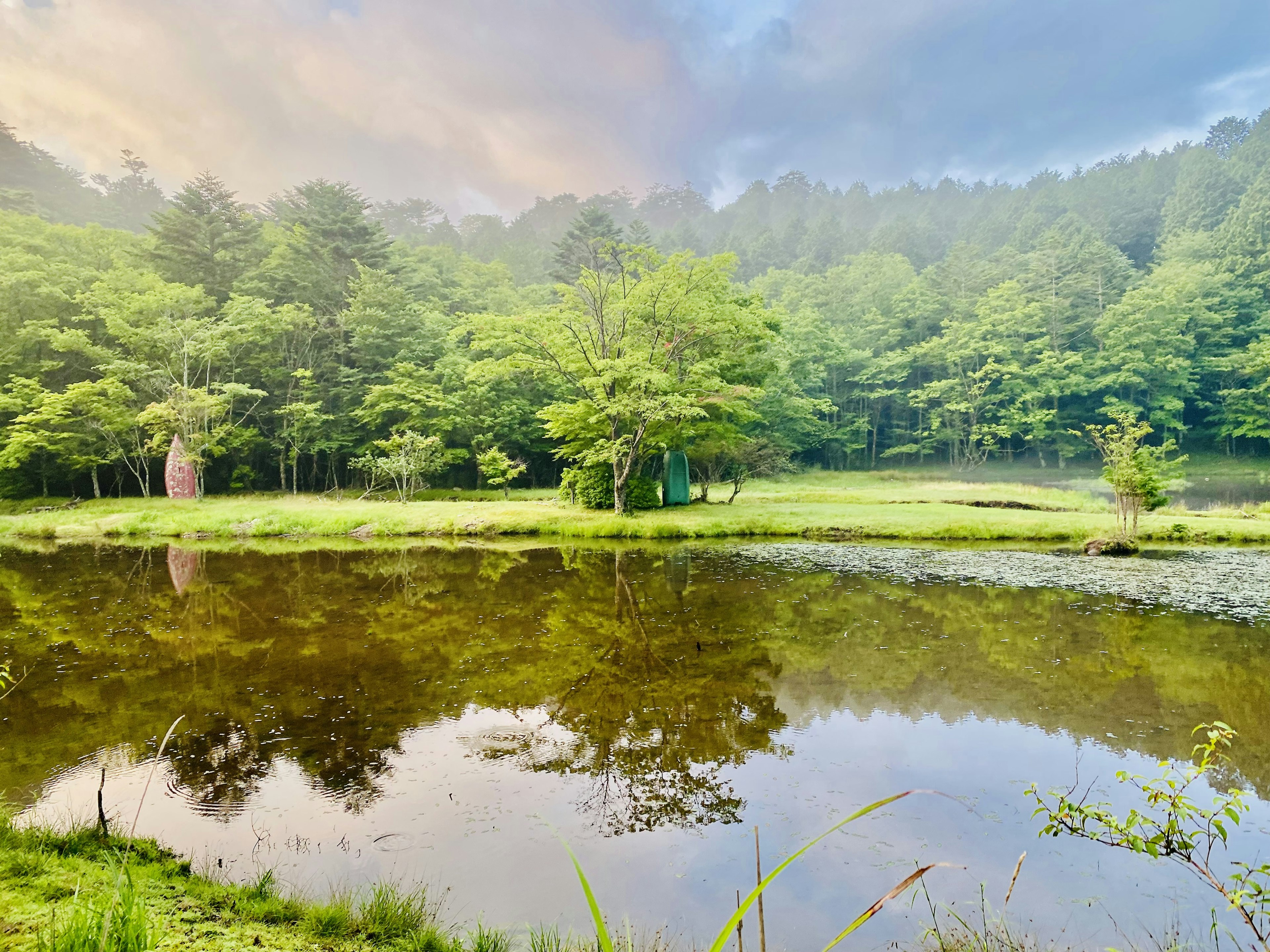 Serene pond surrounded by lush greenery