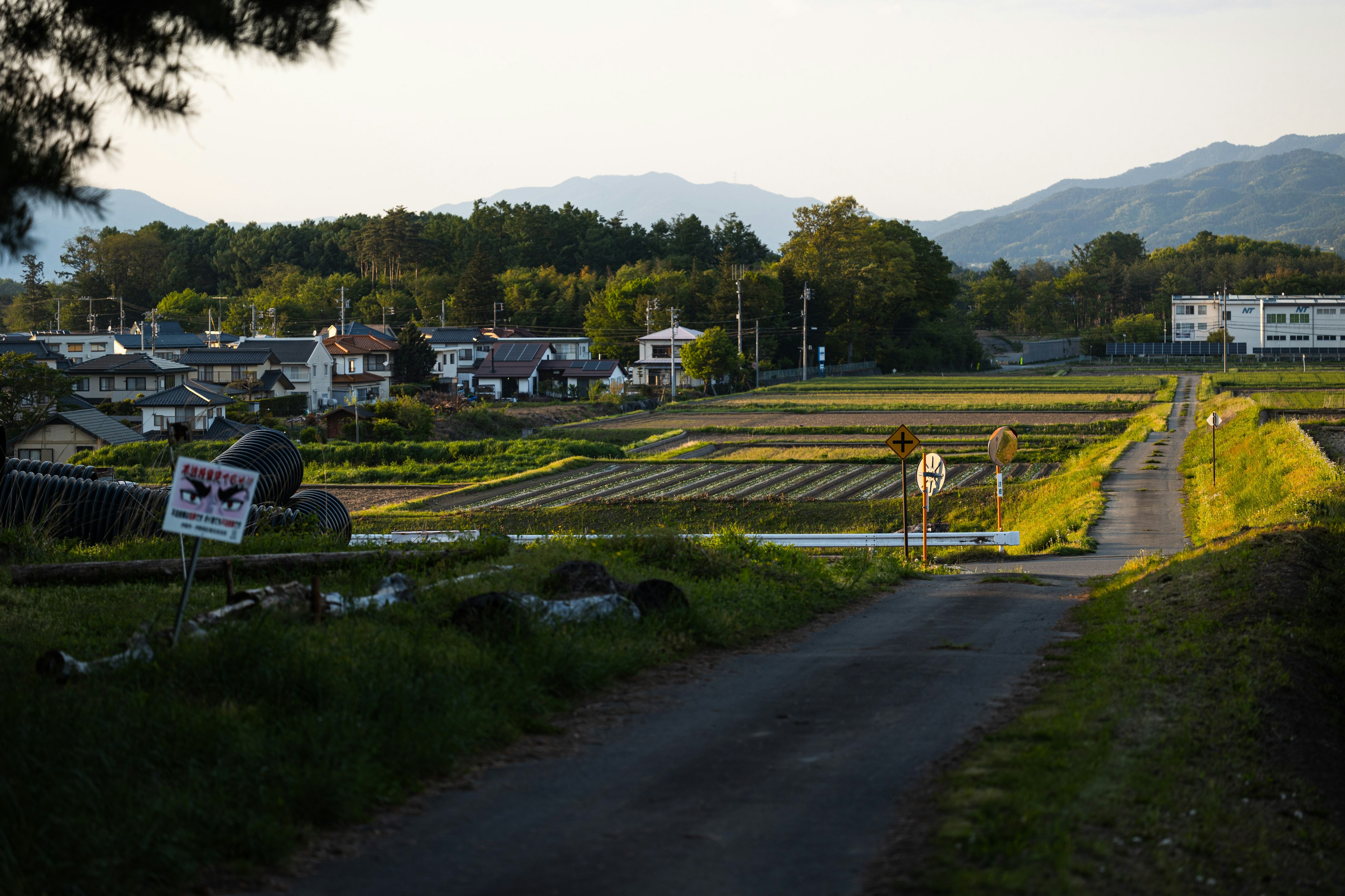 风景如画的乡村景观，有小路和稻田