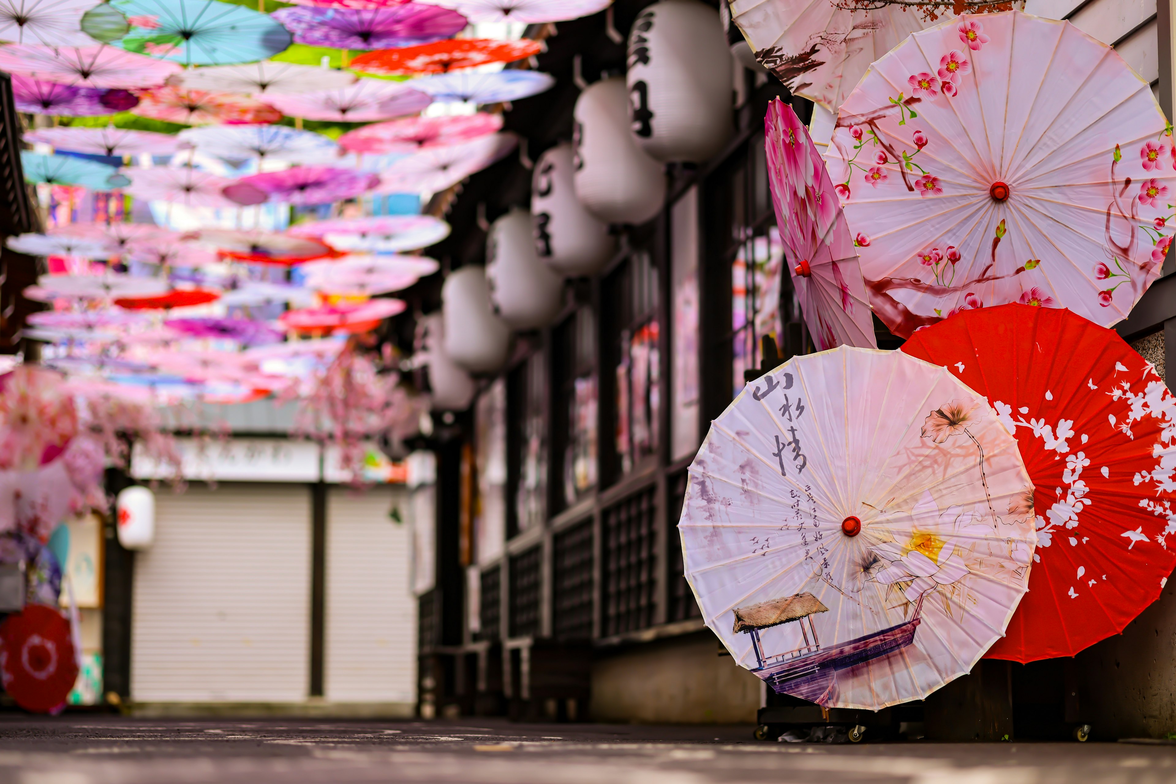 Bunte japanische Regenschirme entlang einer lebhaften Straße