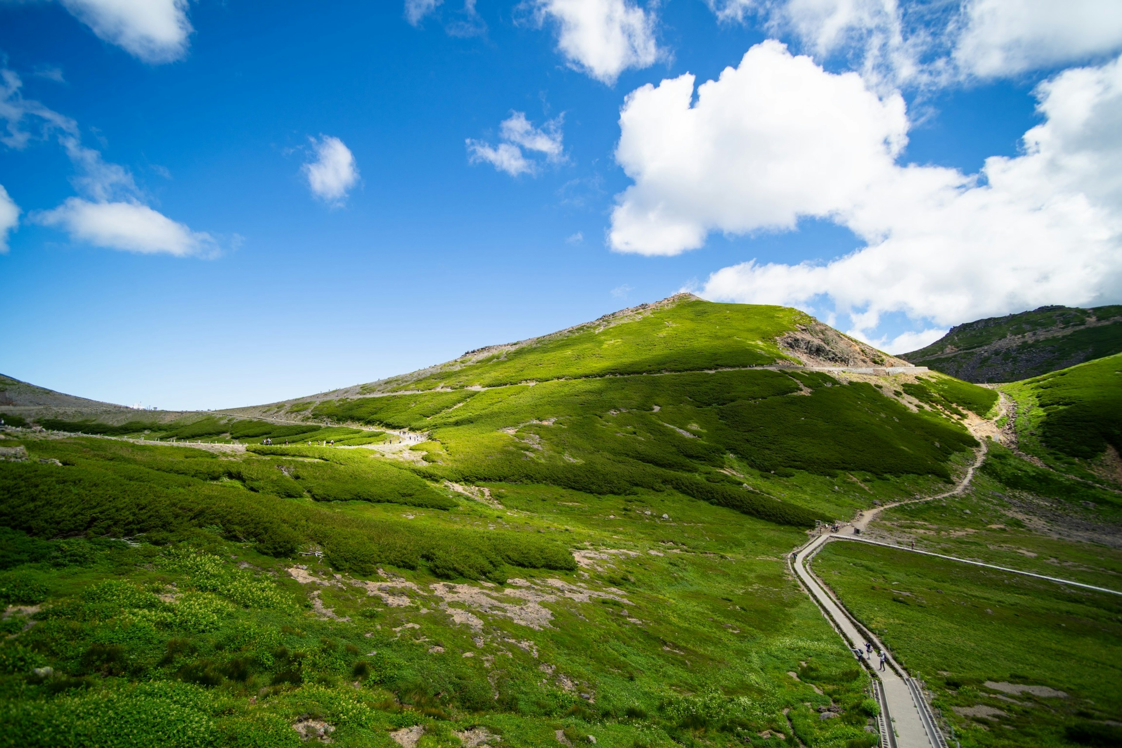 Scenic view of rolling green hills under a blue sky with a winding wooden pathway