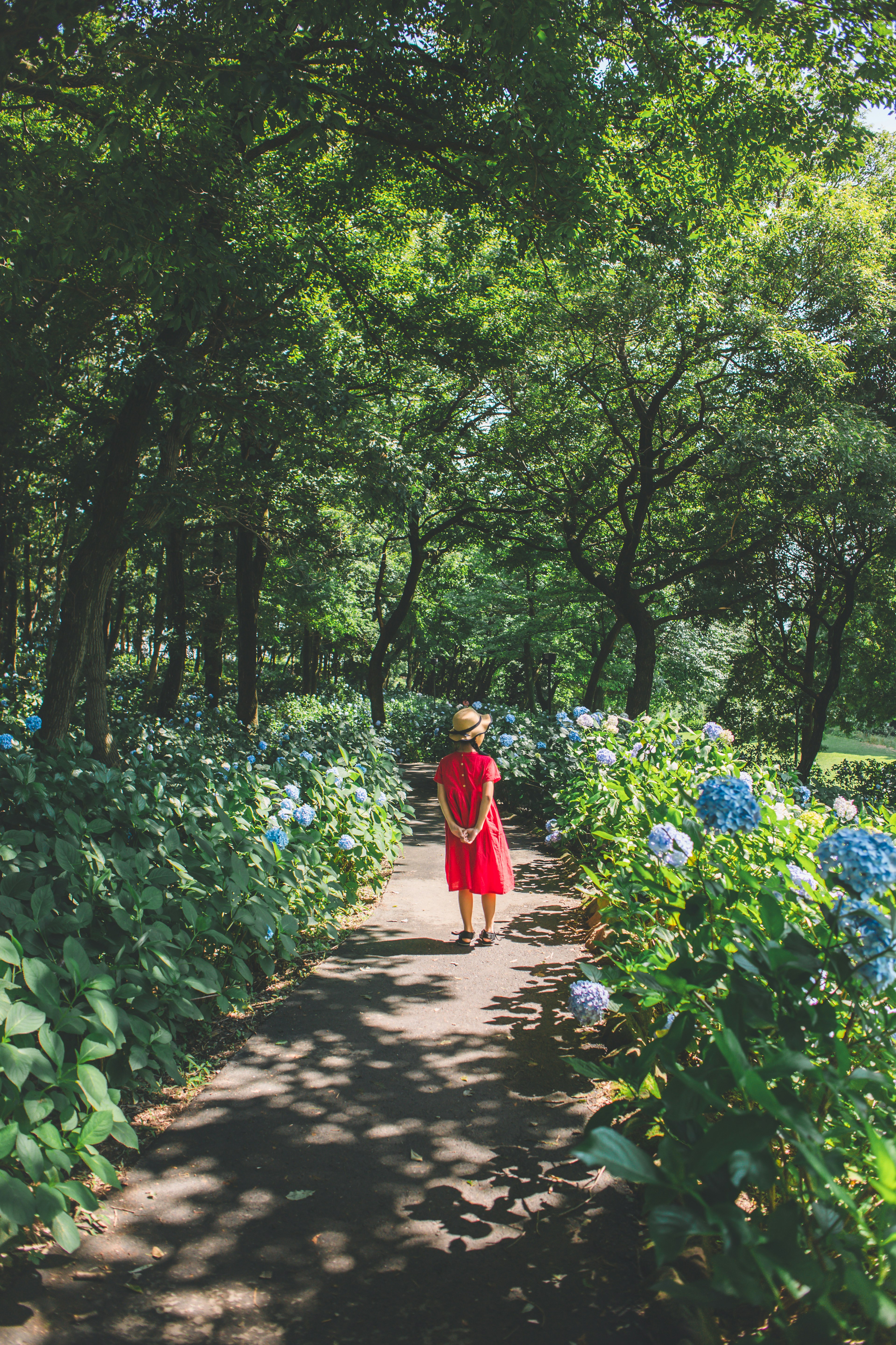 Bambina in abito rosso che cammina su un sentiero circondato da alberi verdi e fiori blu