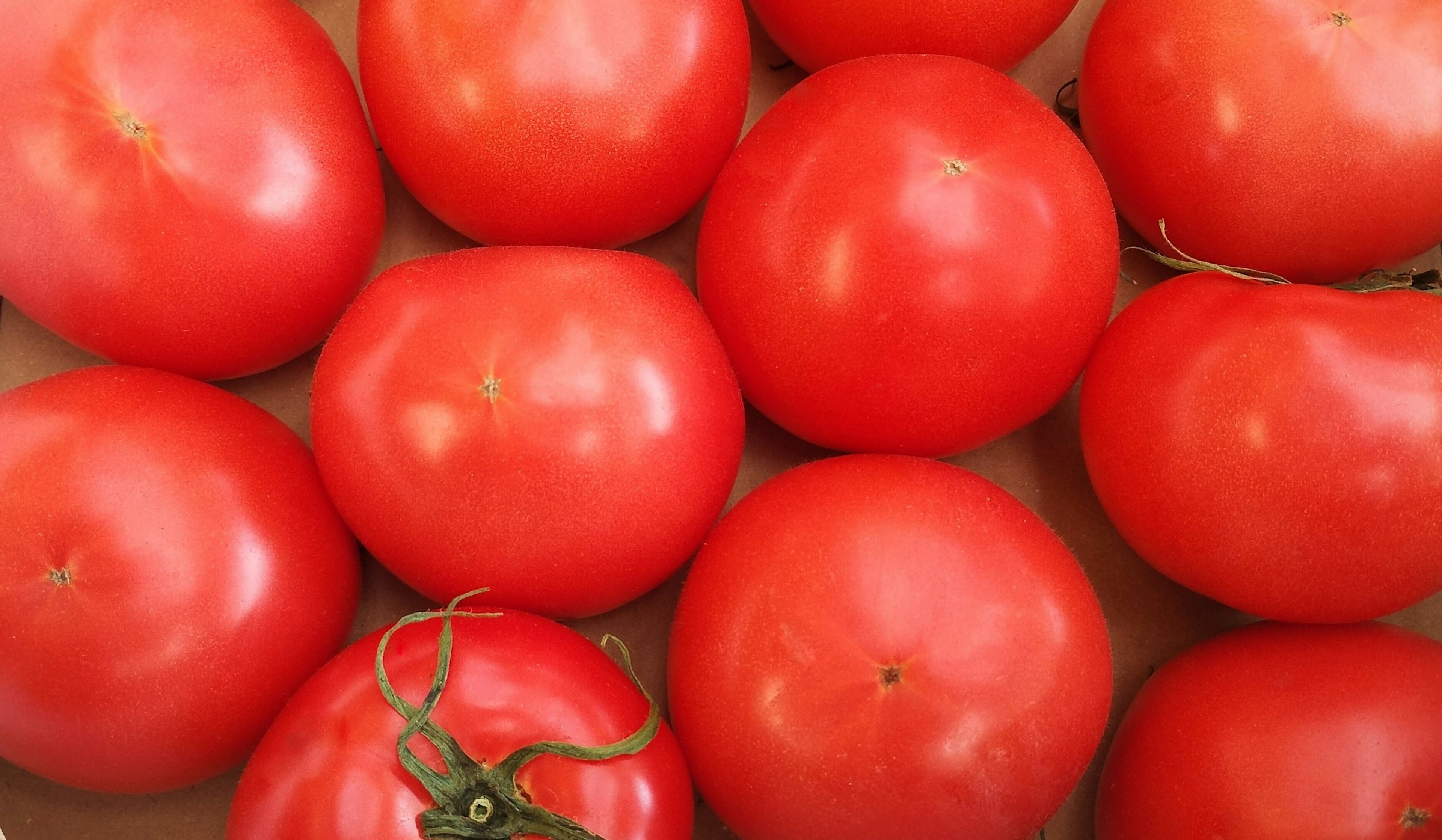 Vibrant red tomatoes arranged neatly