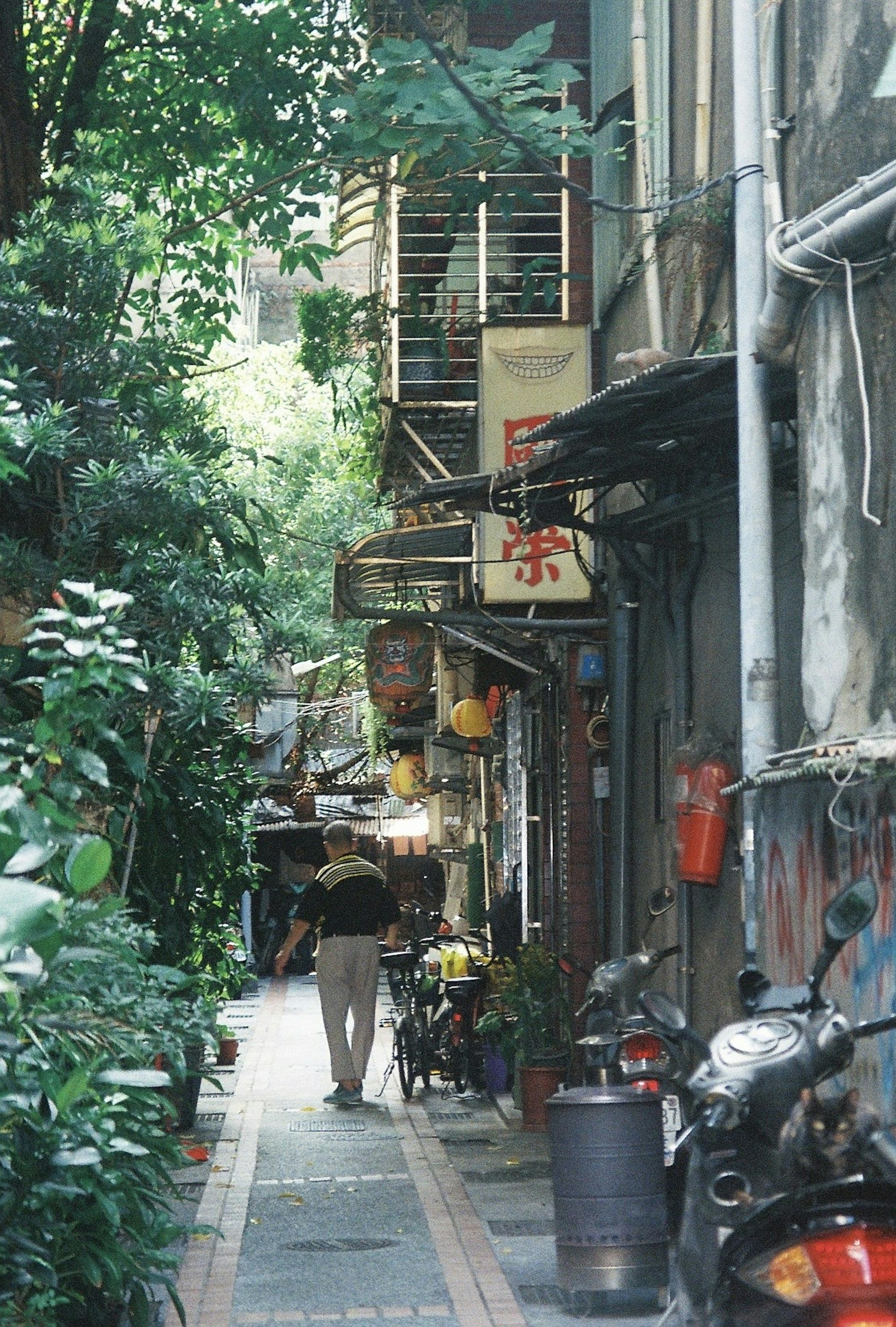 狭い路地に沿った緑の植物と古い建物の風景