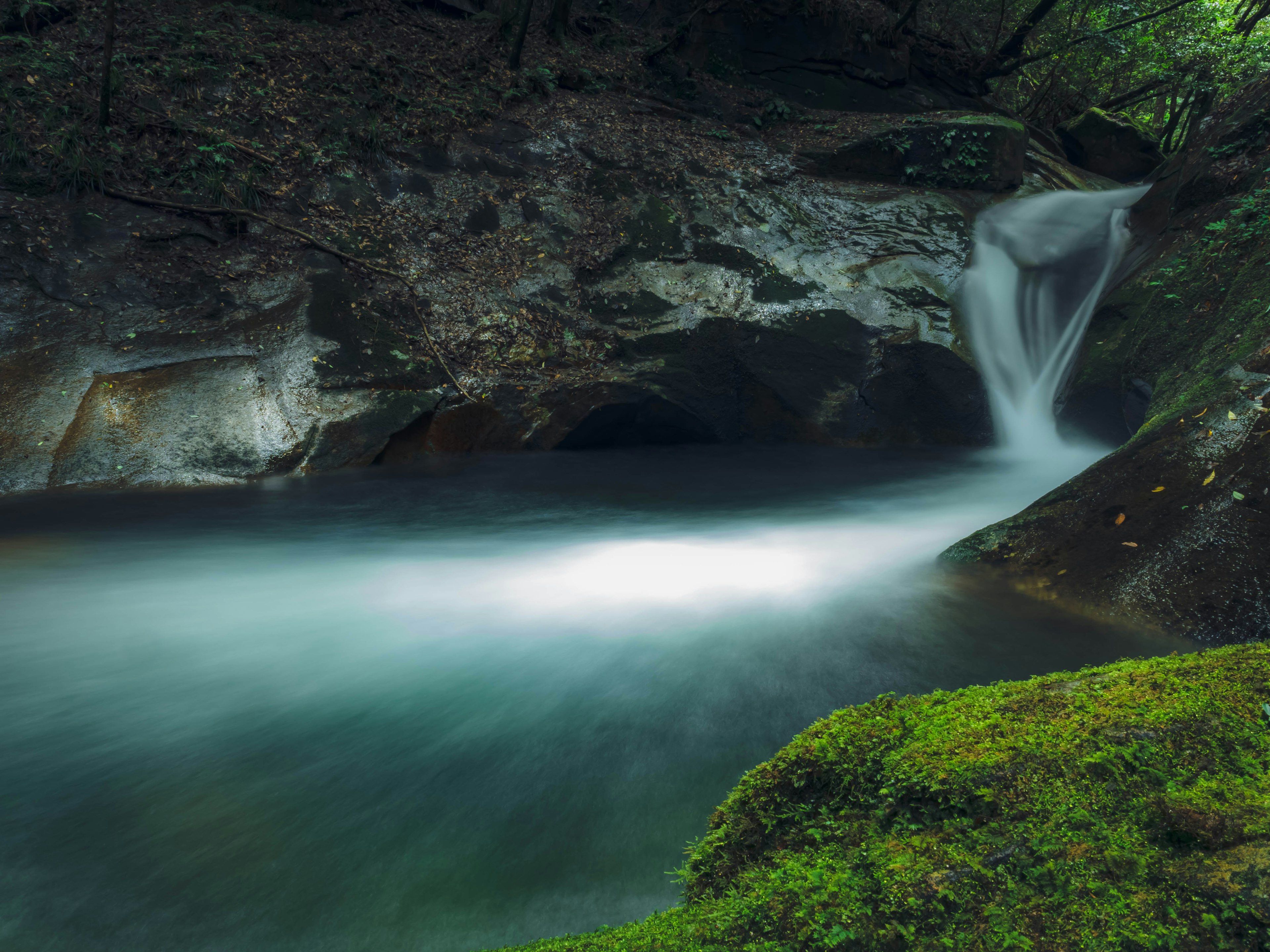 Pemandangan tenang air terjun dan air jernih mengalir di dalam hutan