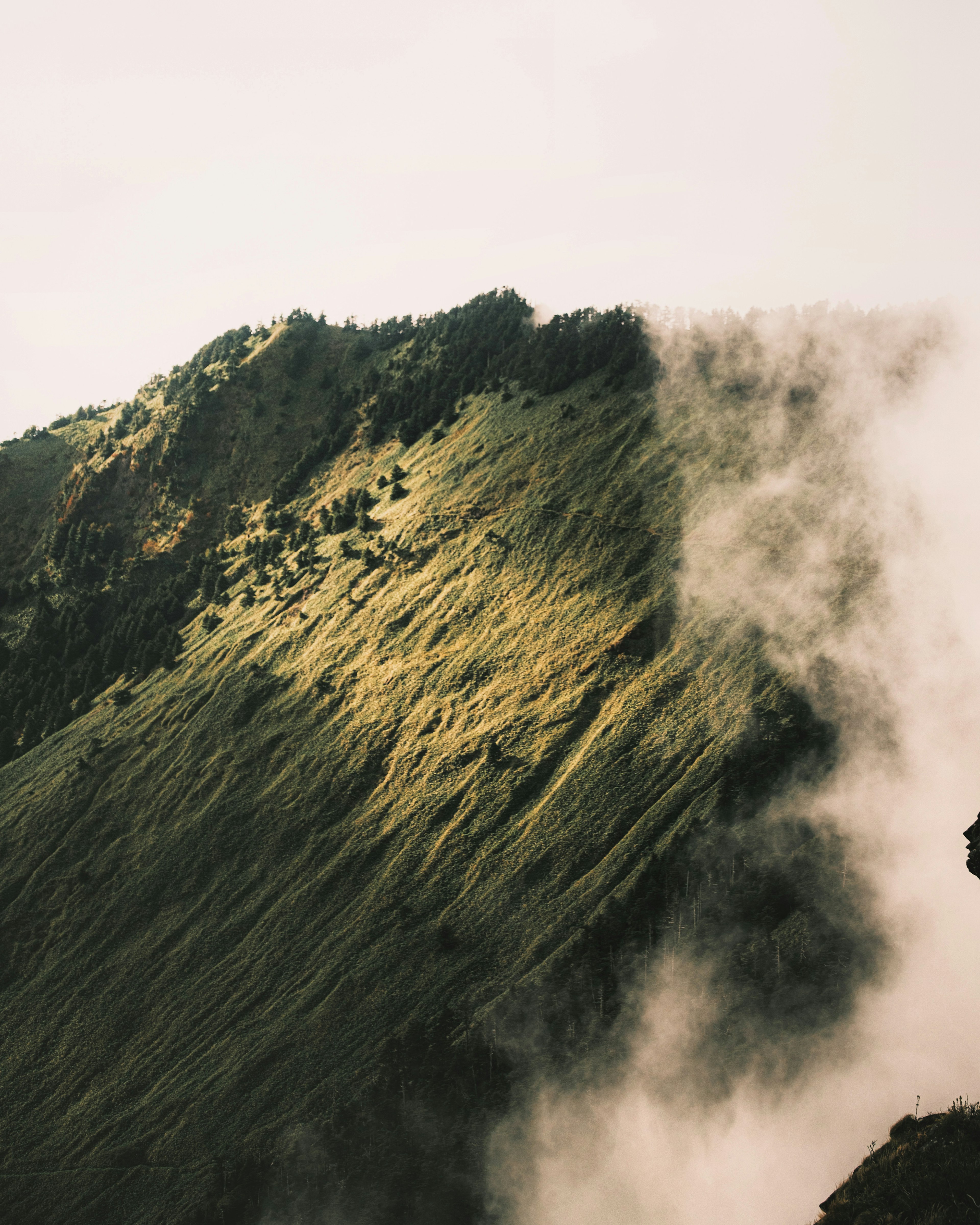 Pemandangan menakjubkan dari lereng gunung dengan cahaya dan kabut