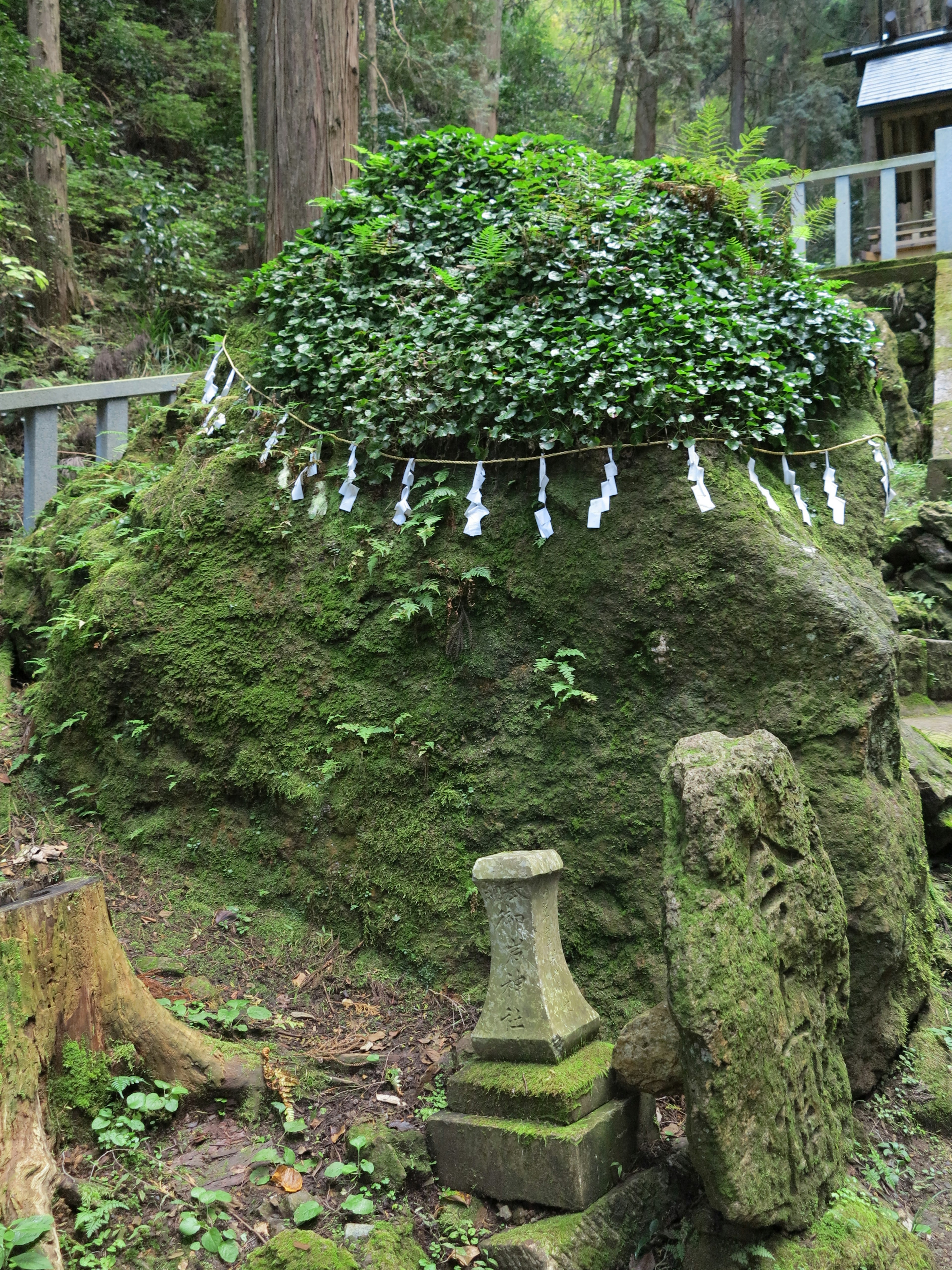 苔むした岩に覆われた緑の植生と白いお札が飾られた神聖な場所