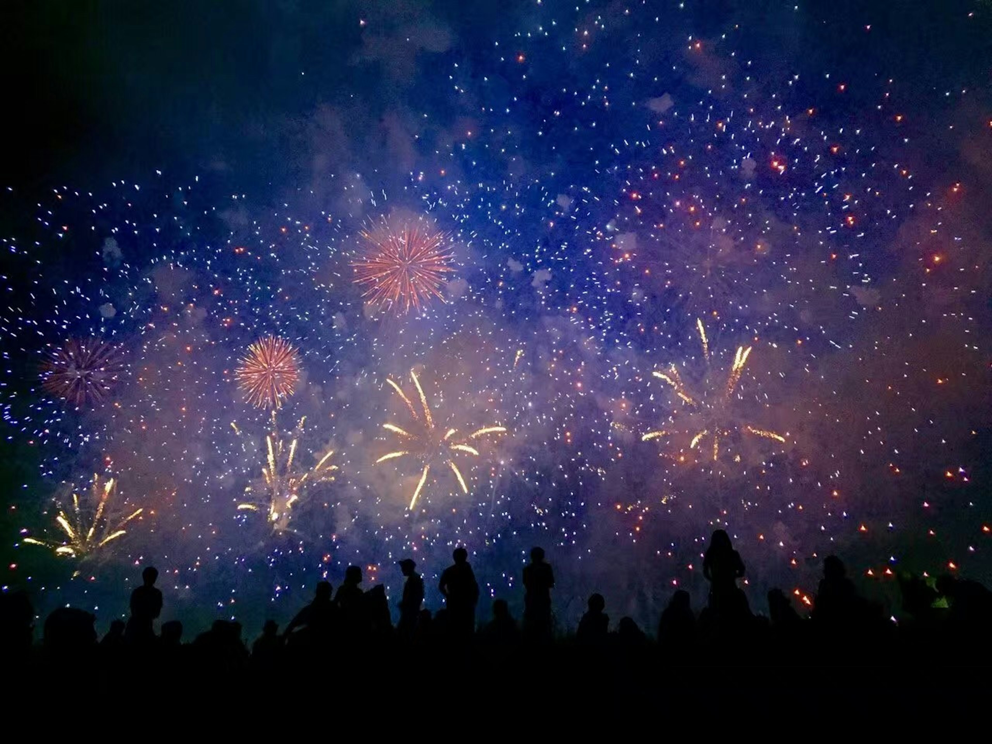 Feux d'artifice colorés illuminant le ciel nocturne avec des spectateurs en silhouette