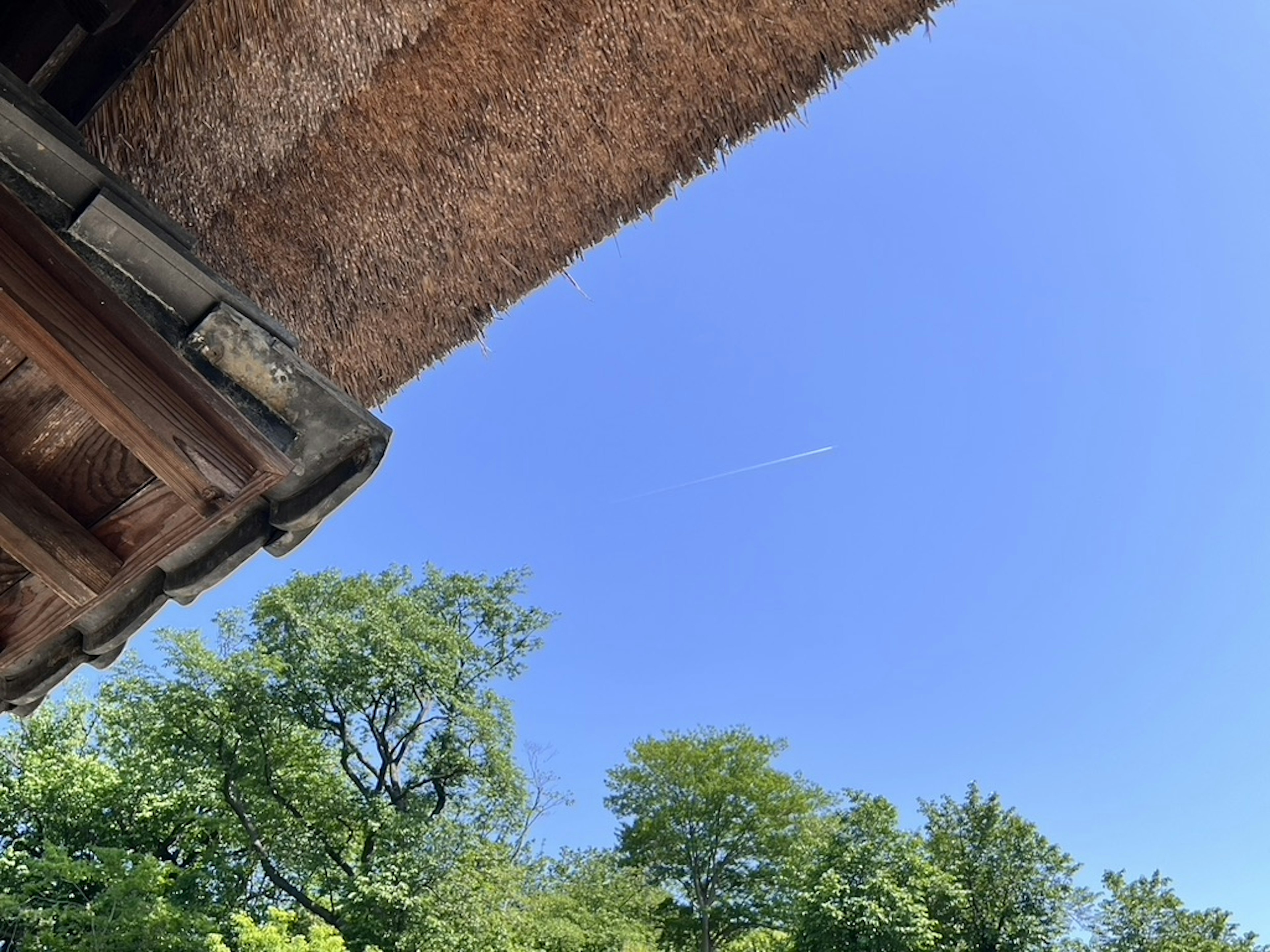 Techo de paja tradicional bajo un cielo azul claro con árboles verdes exuberantes