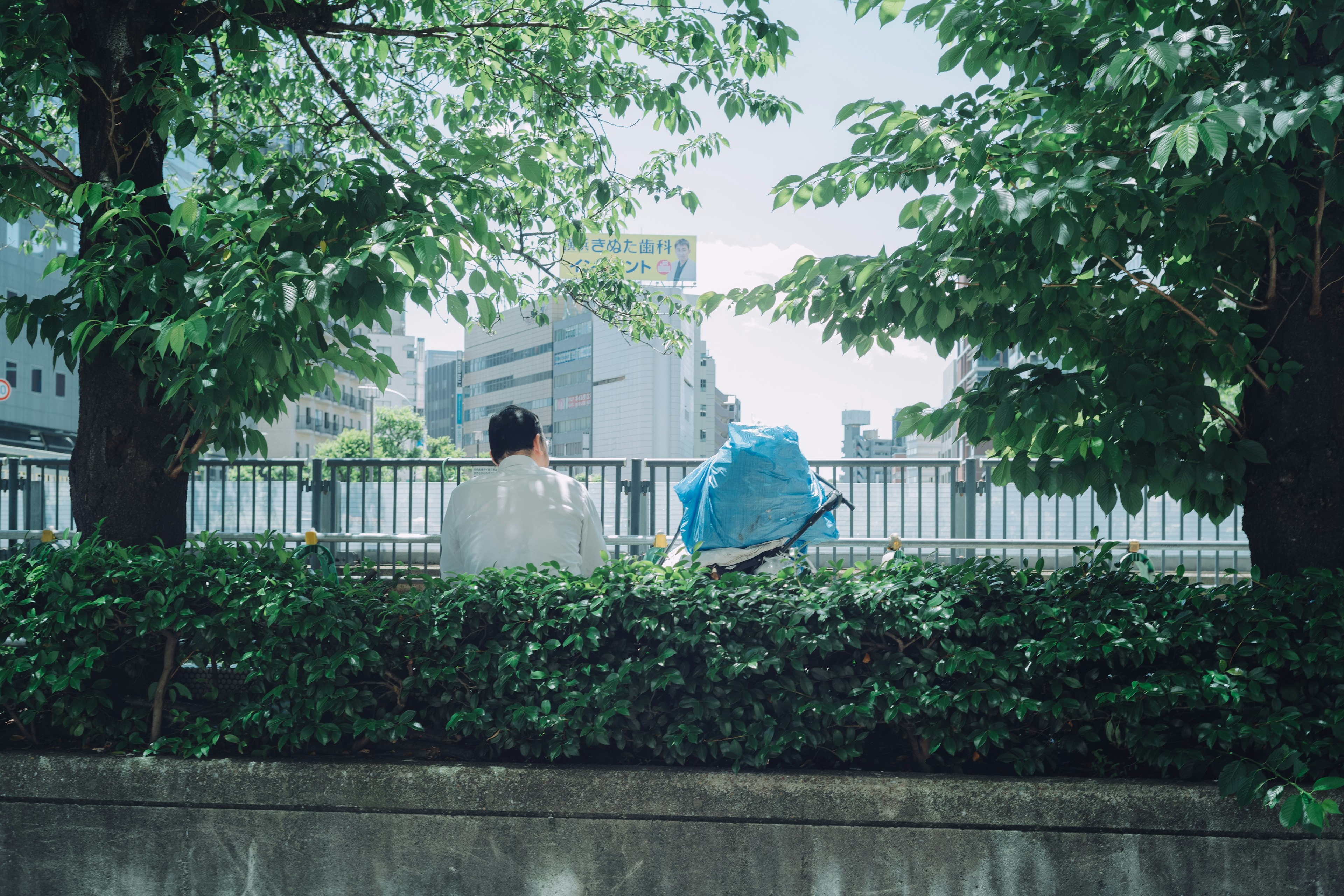 緑の木々の間から都市の風景を眺める男性