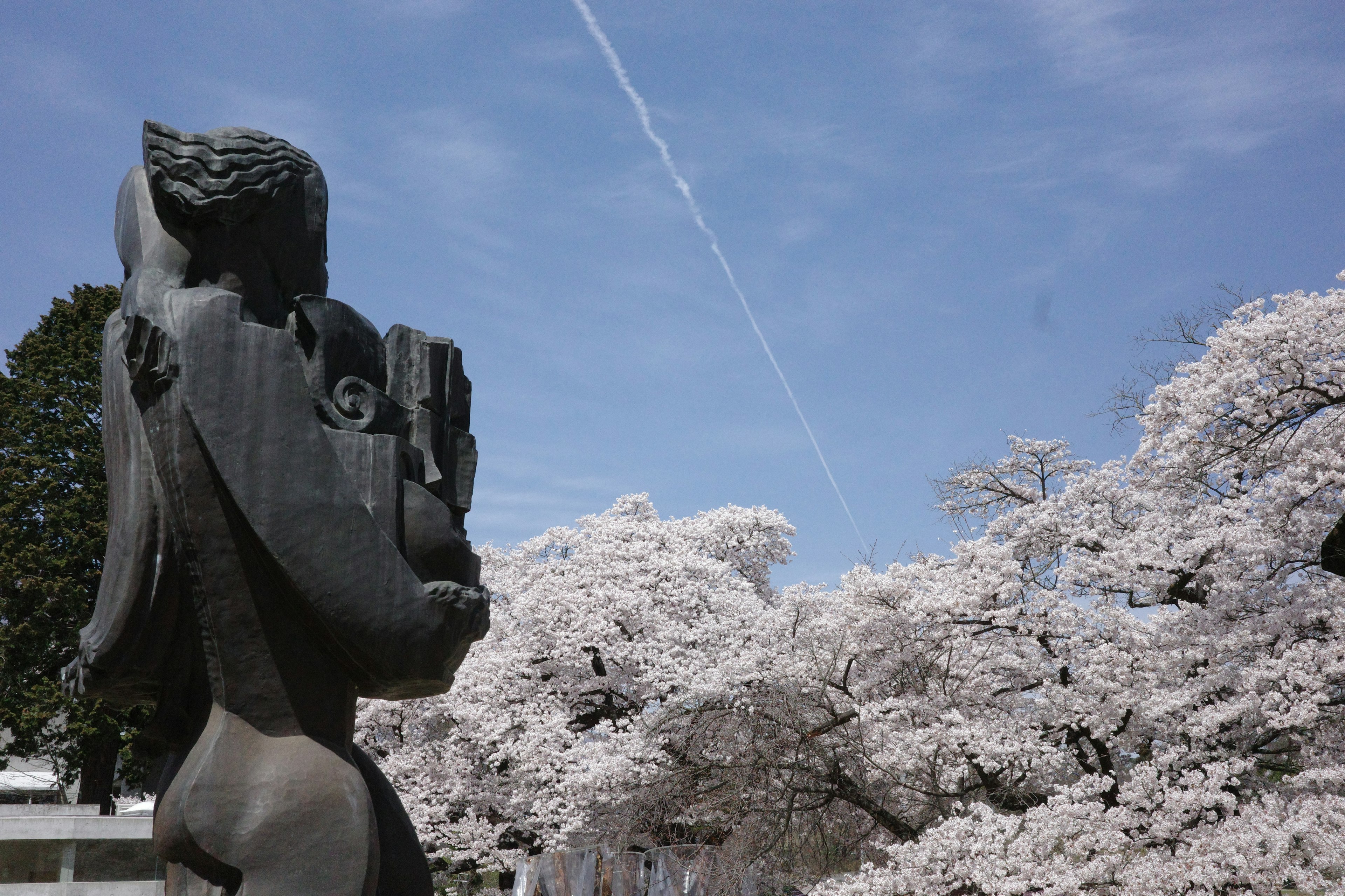 Sculpture d'une femme devant des cerisiers en fleurs