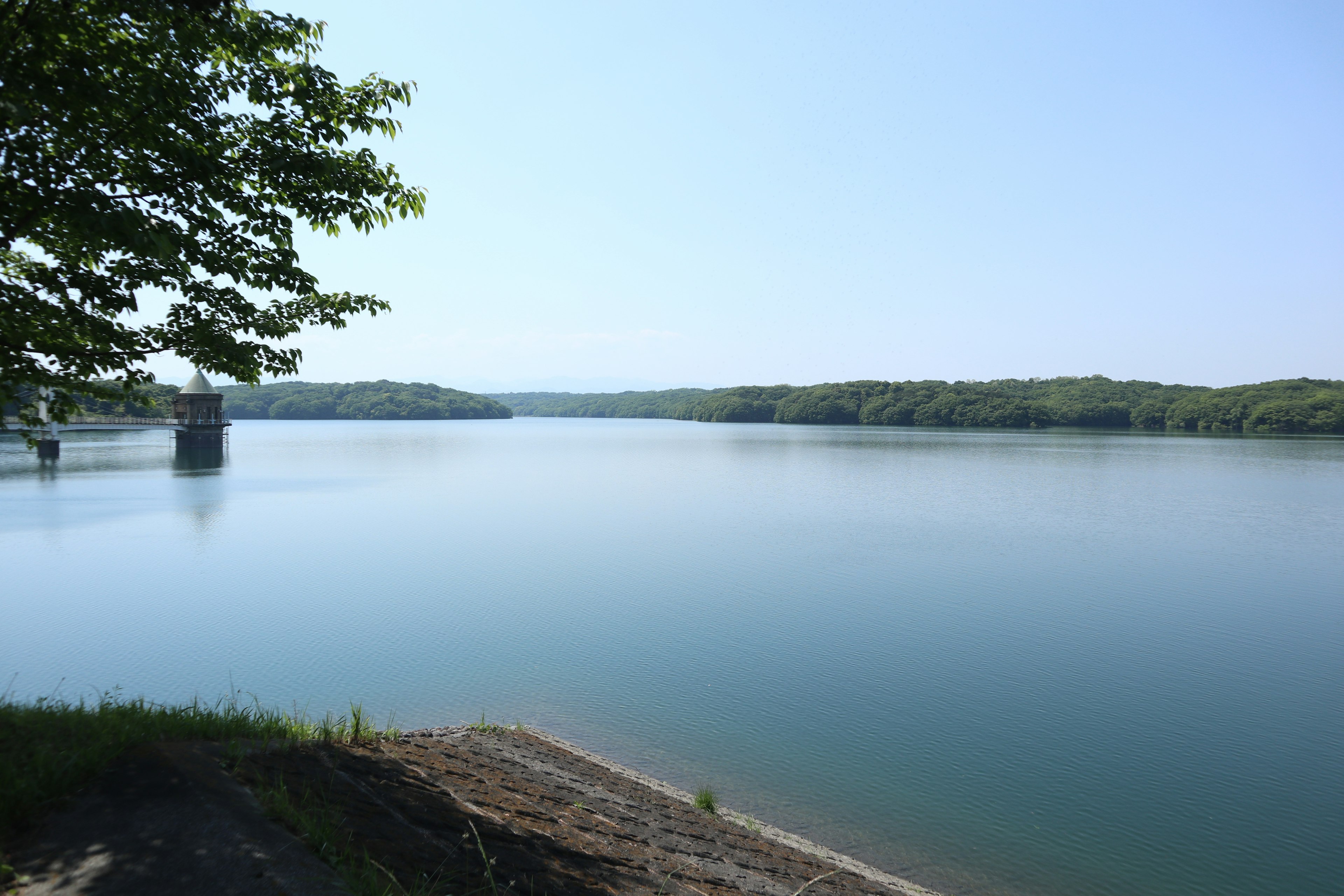 Ruhige Seelandschaft mit blauem Himmel und umgebenden grünen Bäumen, die sich im stillen Wasser spiegeln