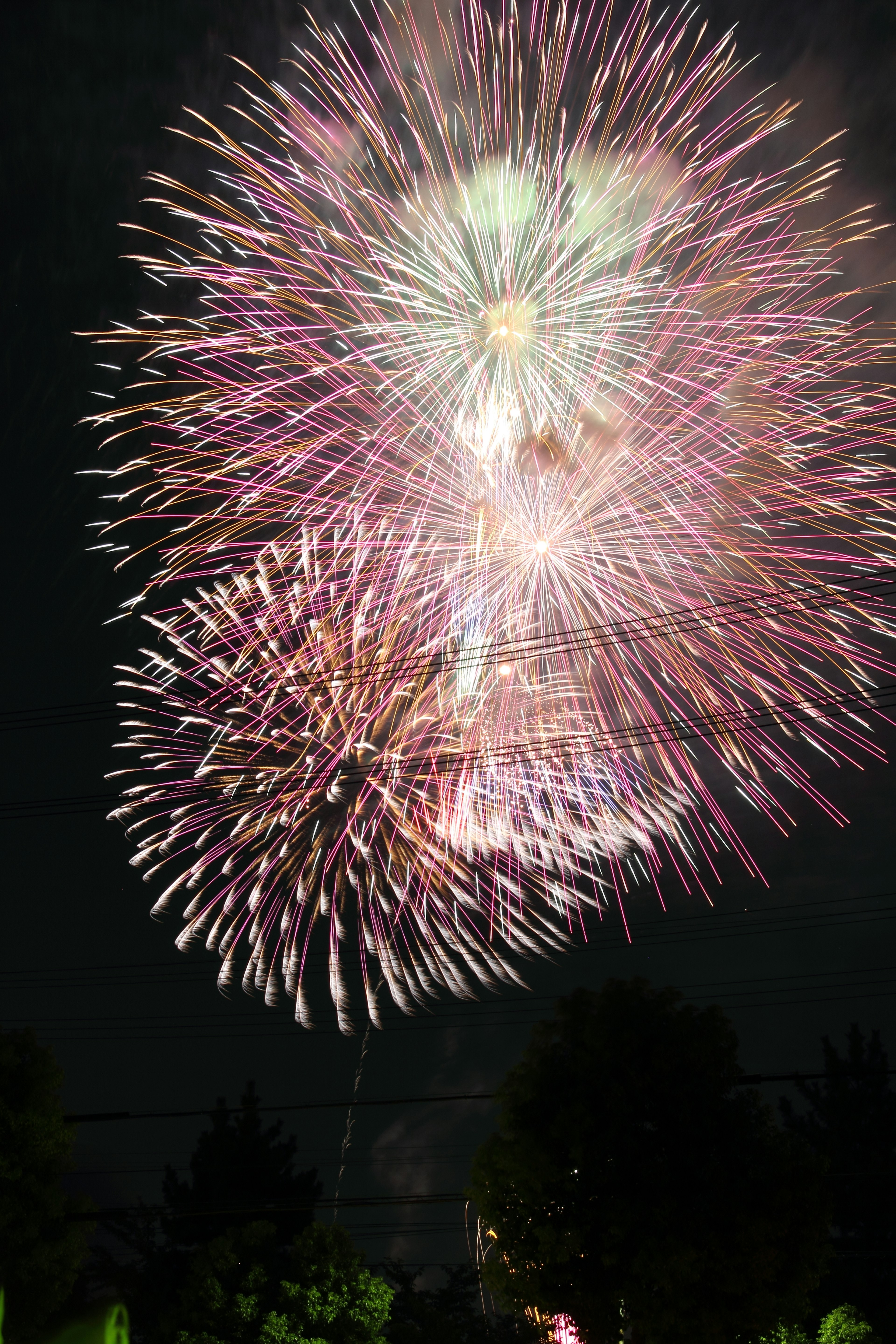 Fuochi d'artificio colorati che esplodono nel cielo notturno