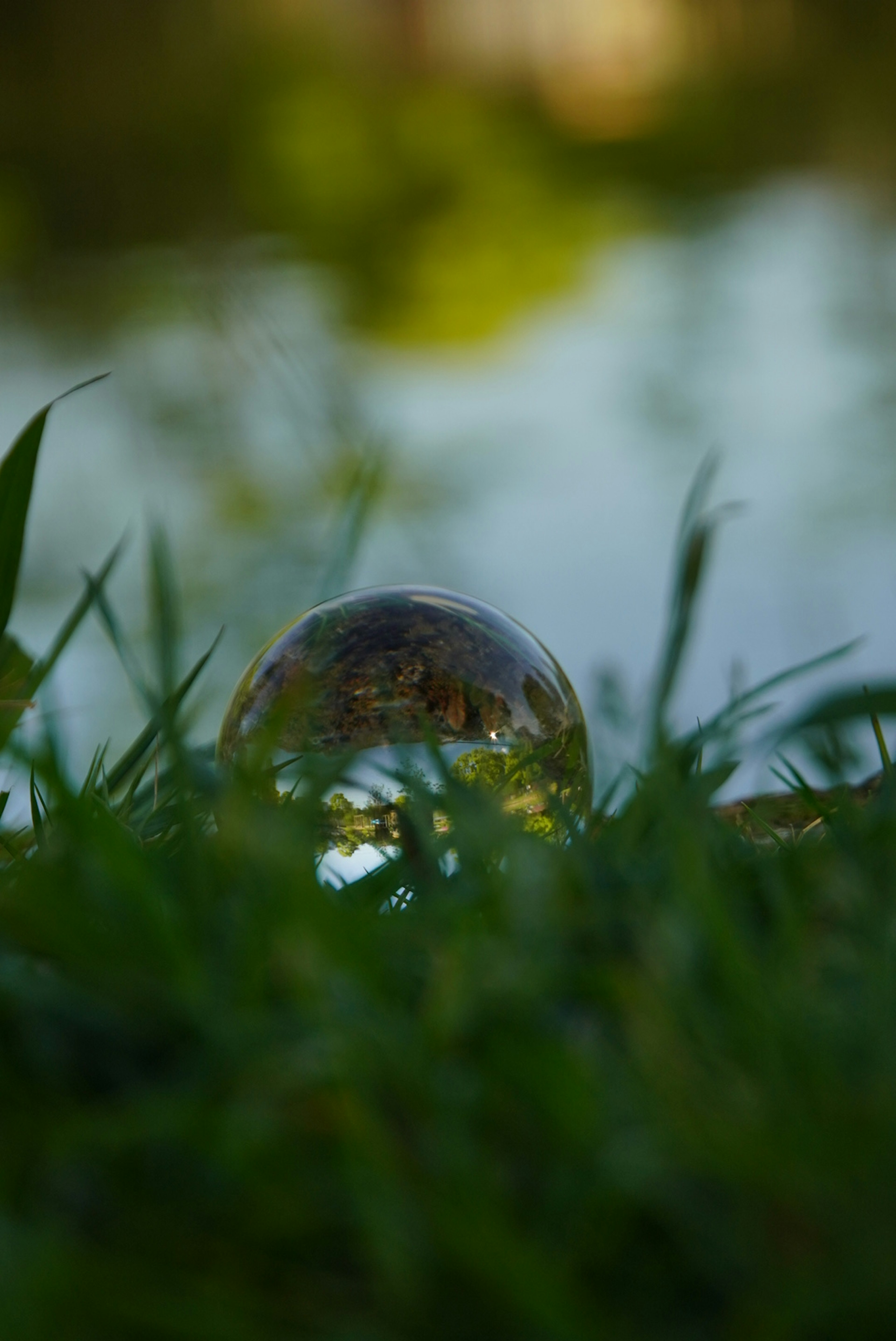 水面に映る光を捉えた透明な球体が草の間に置かれている