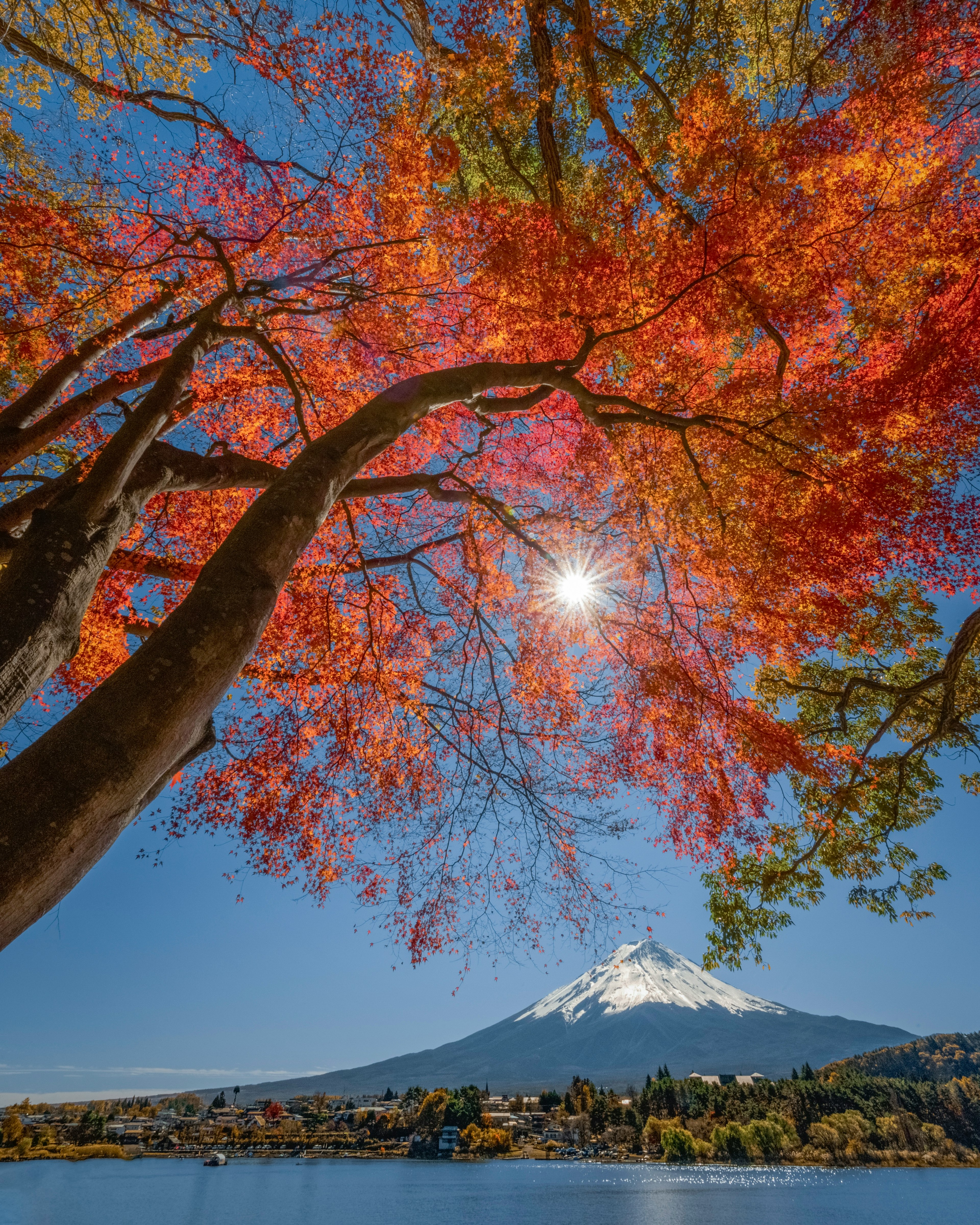 ทิวทัศน์ที่สวยงามของภูเขาฟูจิที่ถูกล้อมรอบด้วยใบไม้ฤดูใบไม้ร่วงที่มีชีวิตชีวา