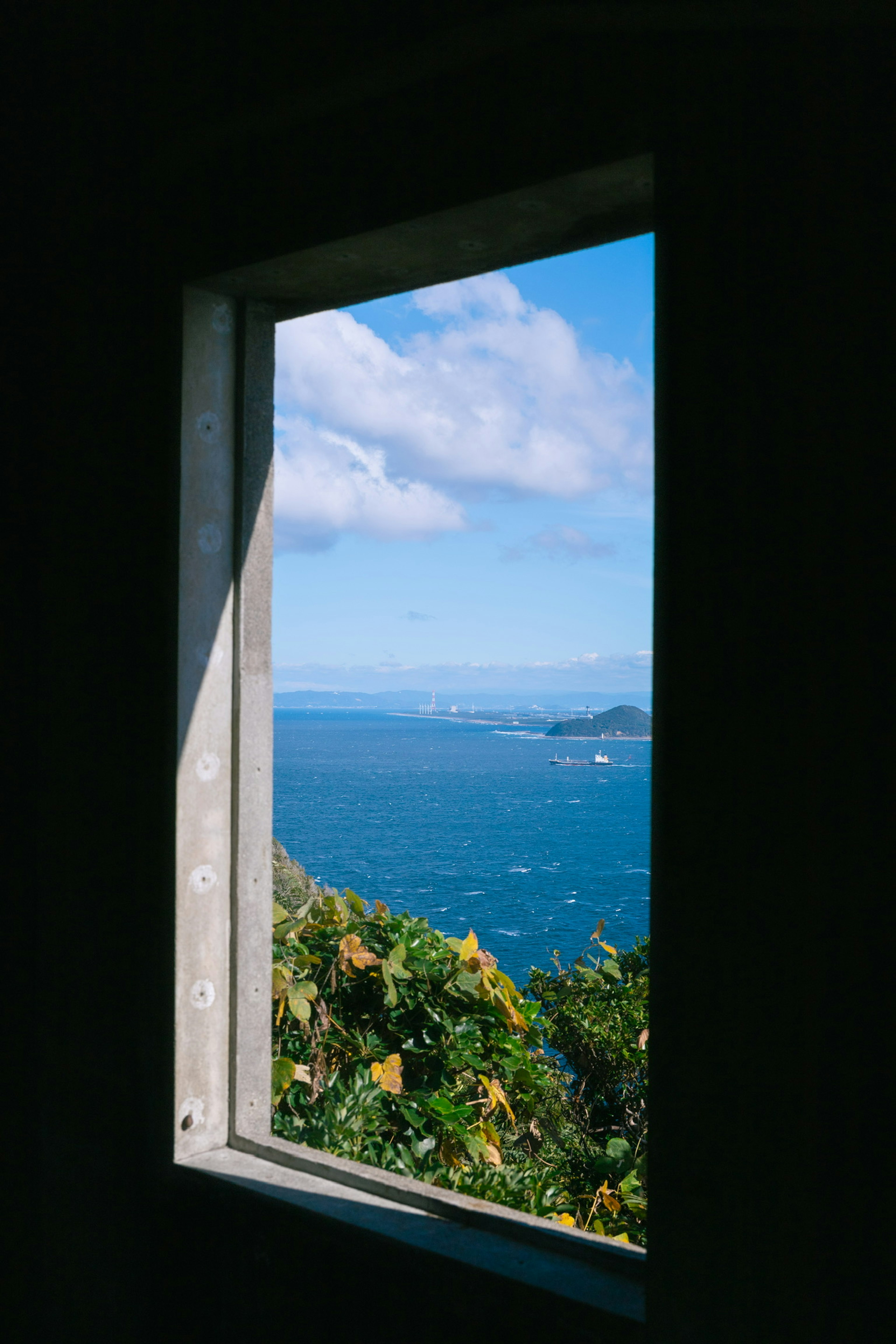 窗外藍色海洋和天空的風景，前景中有綠色植物