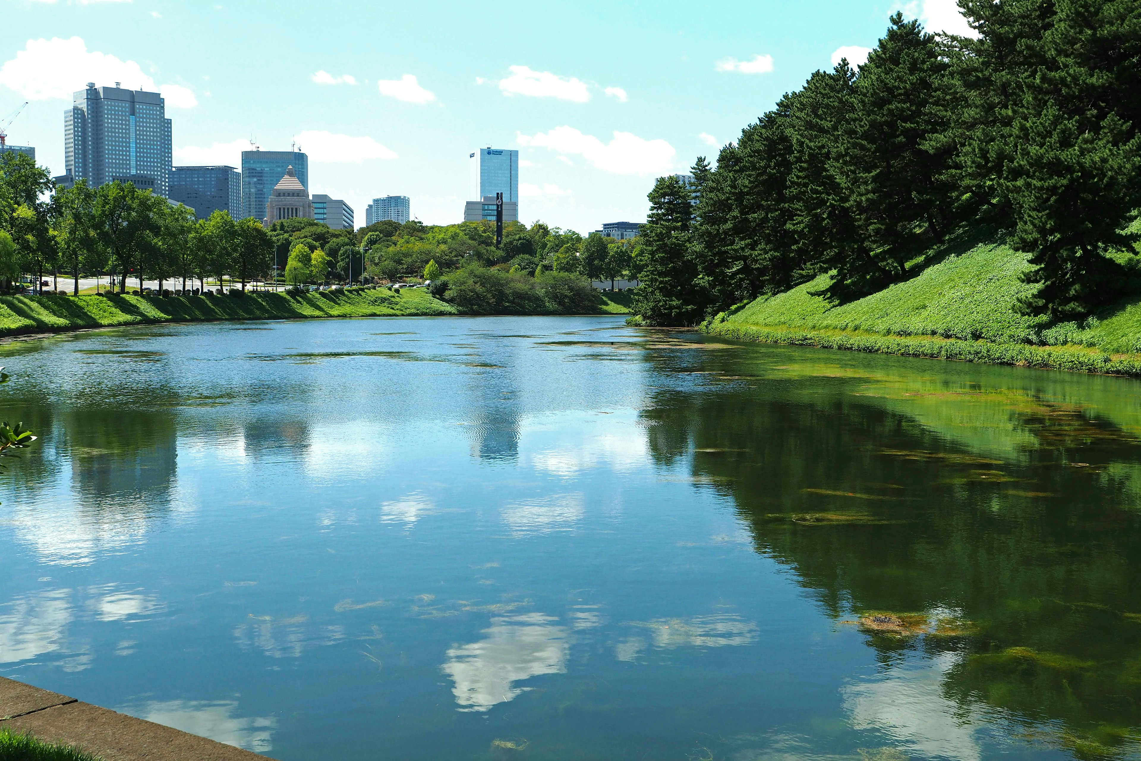 Calm river reflecting blue sky and green trees with city skyline in background