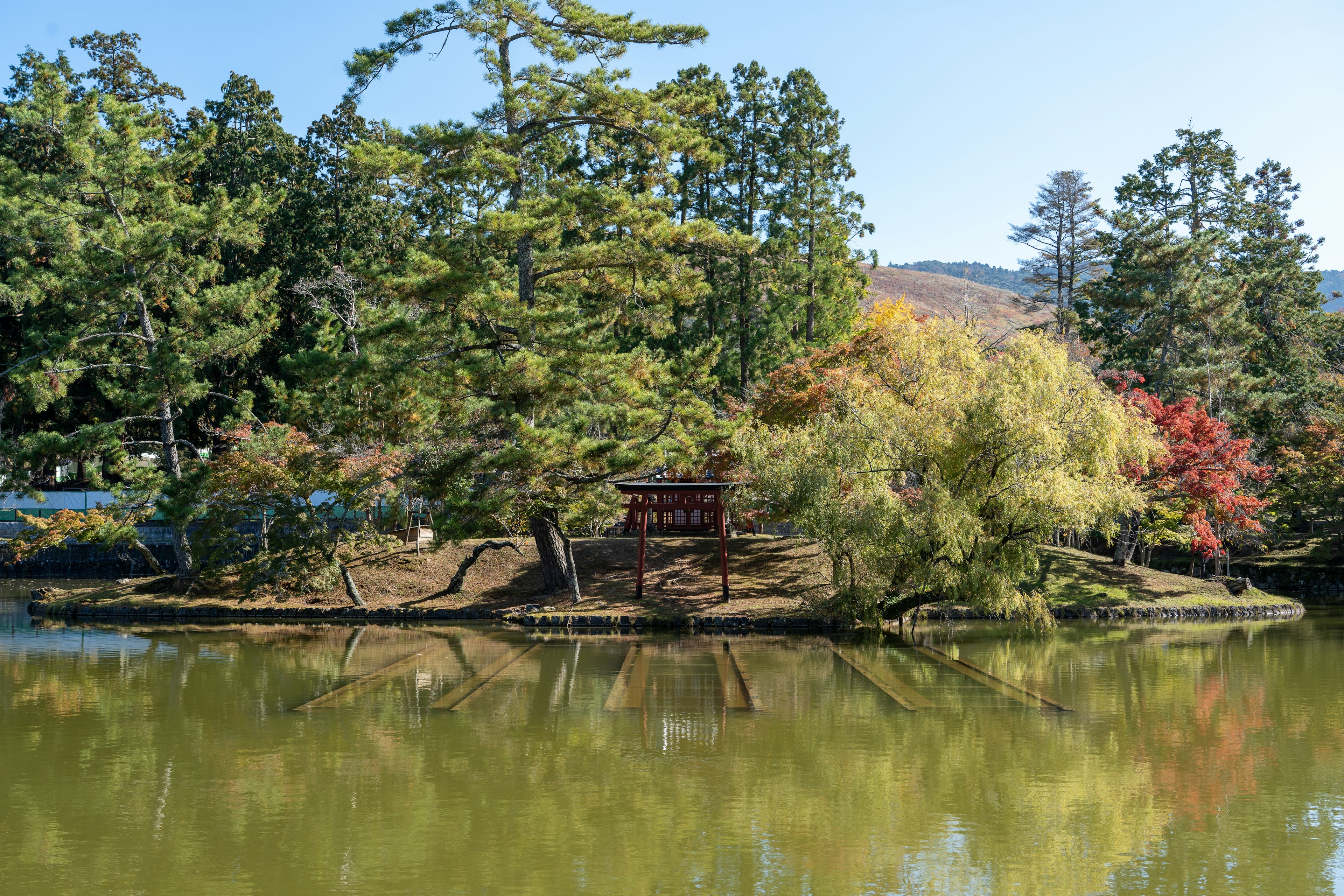 静かな池の周りに色とりどりの木々が茂る景色