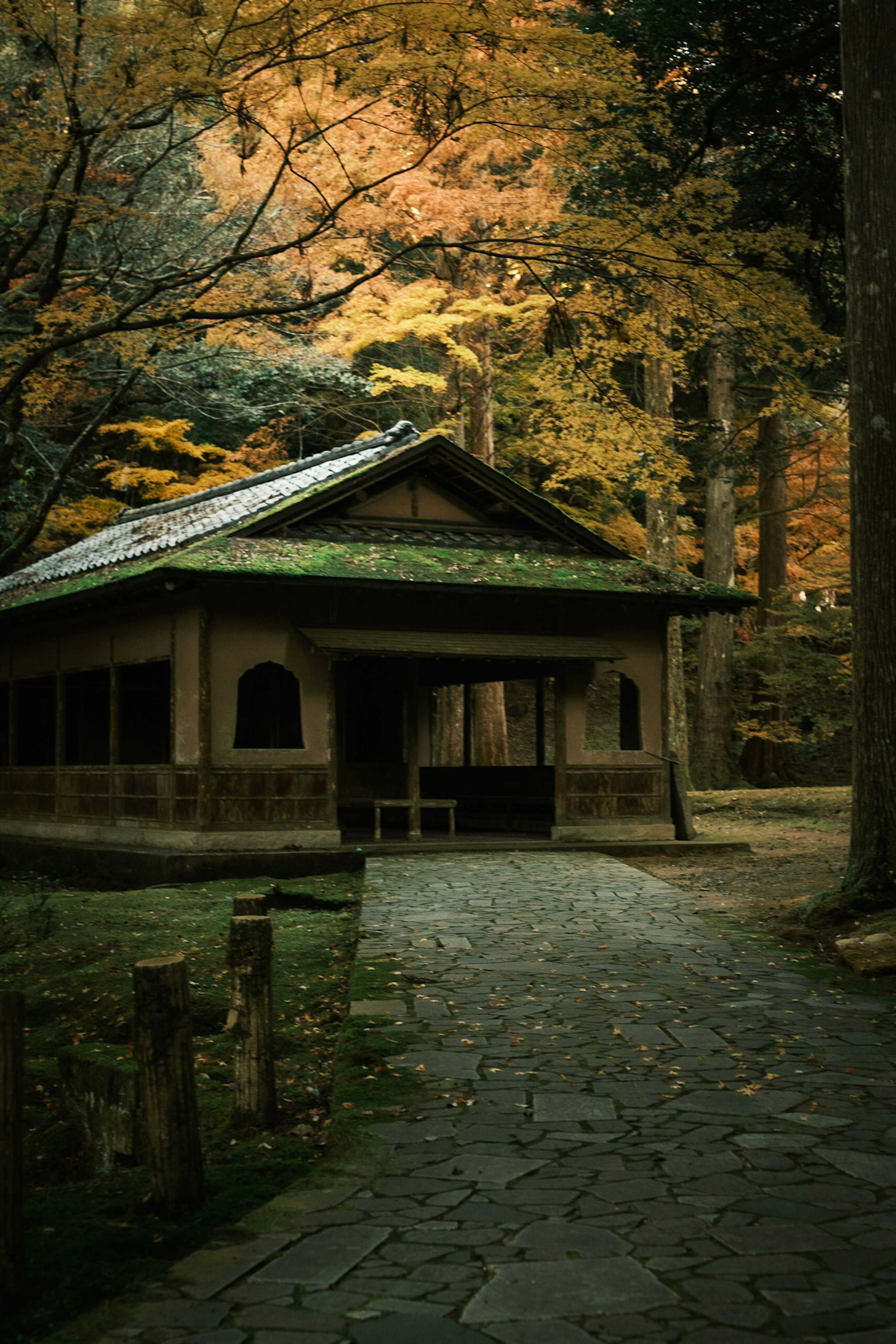 秋の紅葉に囲まれた伝統的な日本の建物の風景