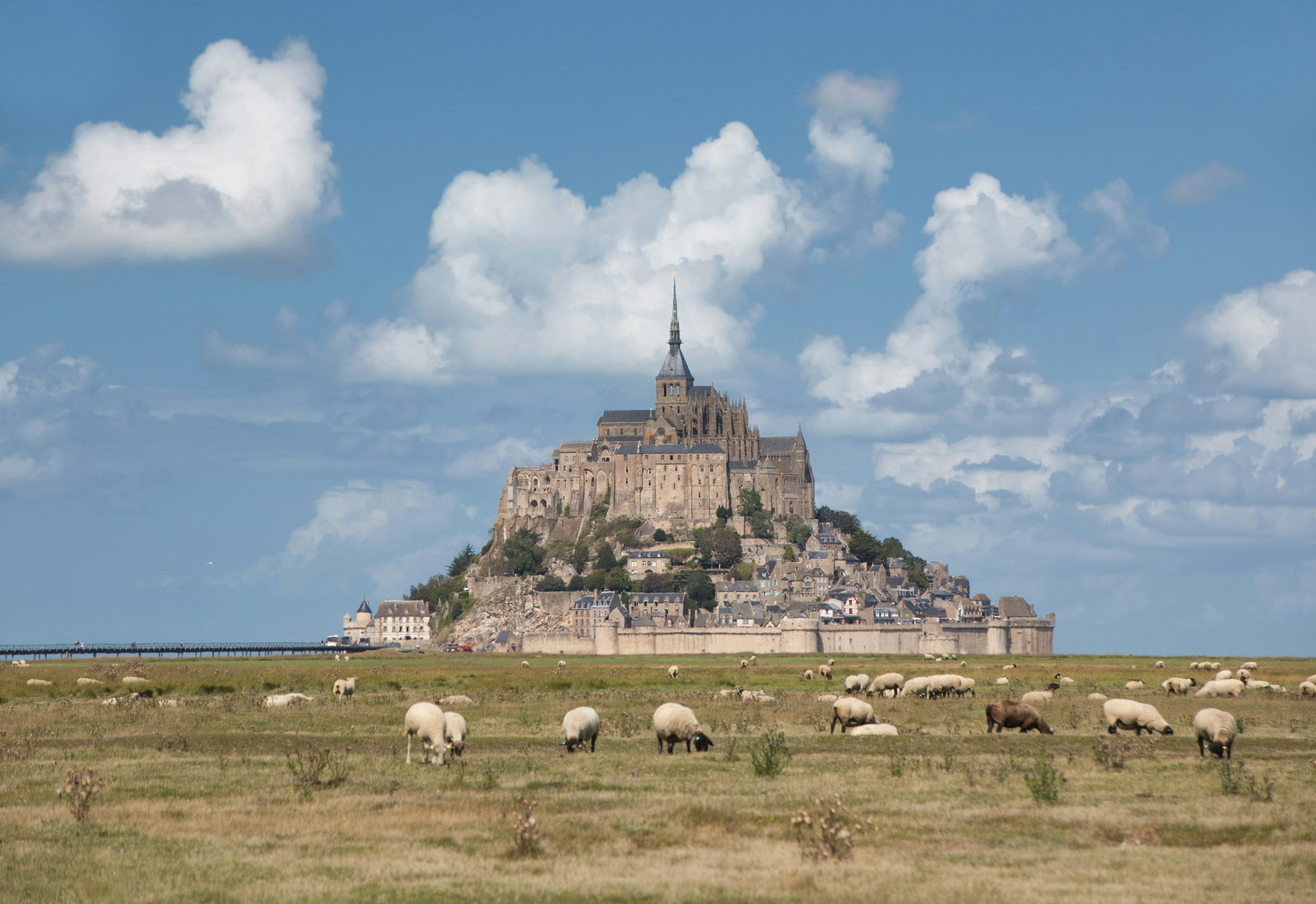 Malersicher Blick auf den Mont Saint-Michel mit Schafen, die auf der grünen Wiese unter blauem Himmel grasen