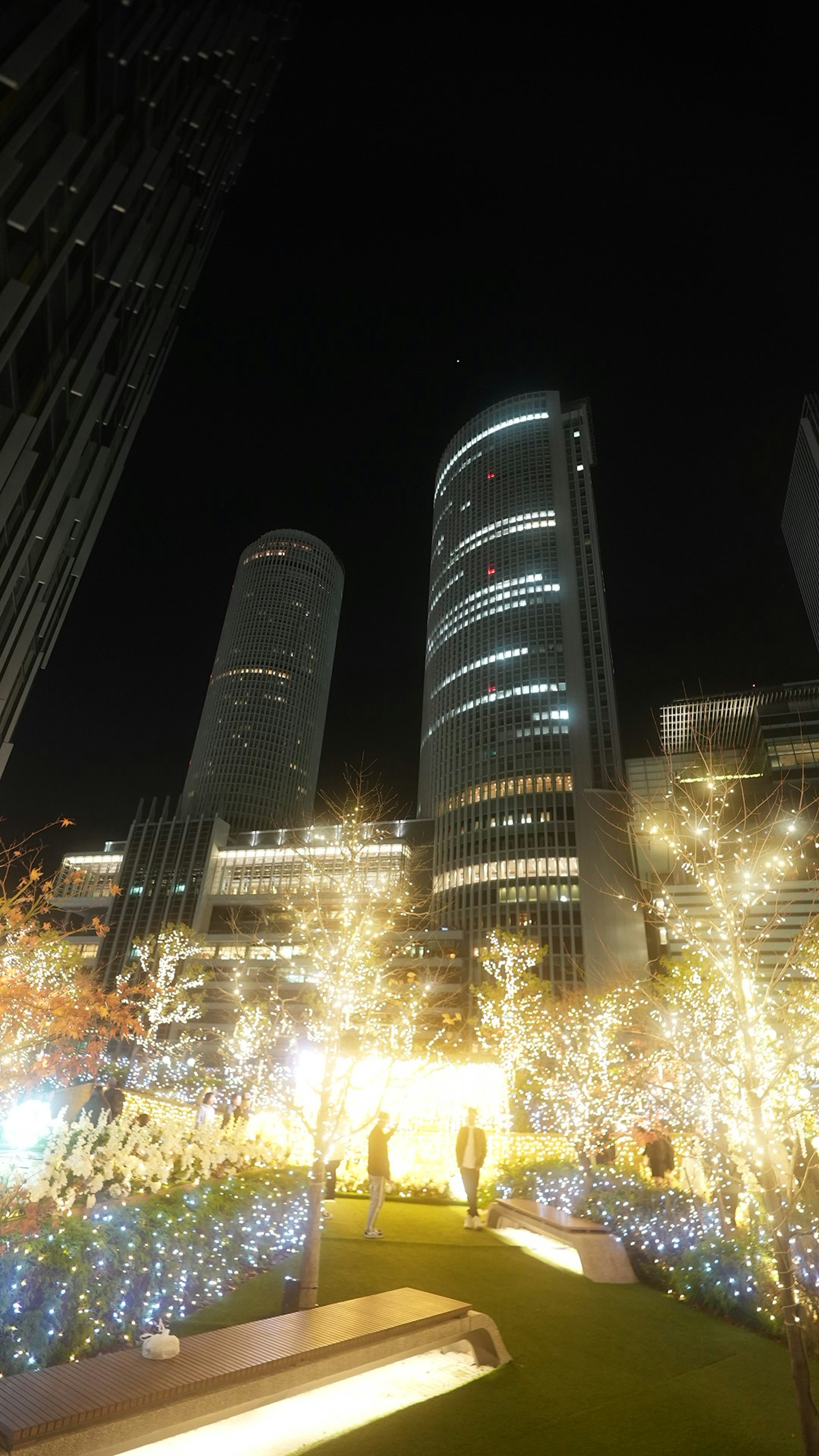 Paisaje urbano nocturno con árboles iluminados y rascacielos