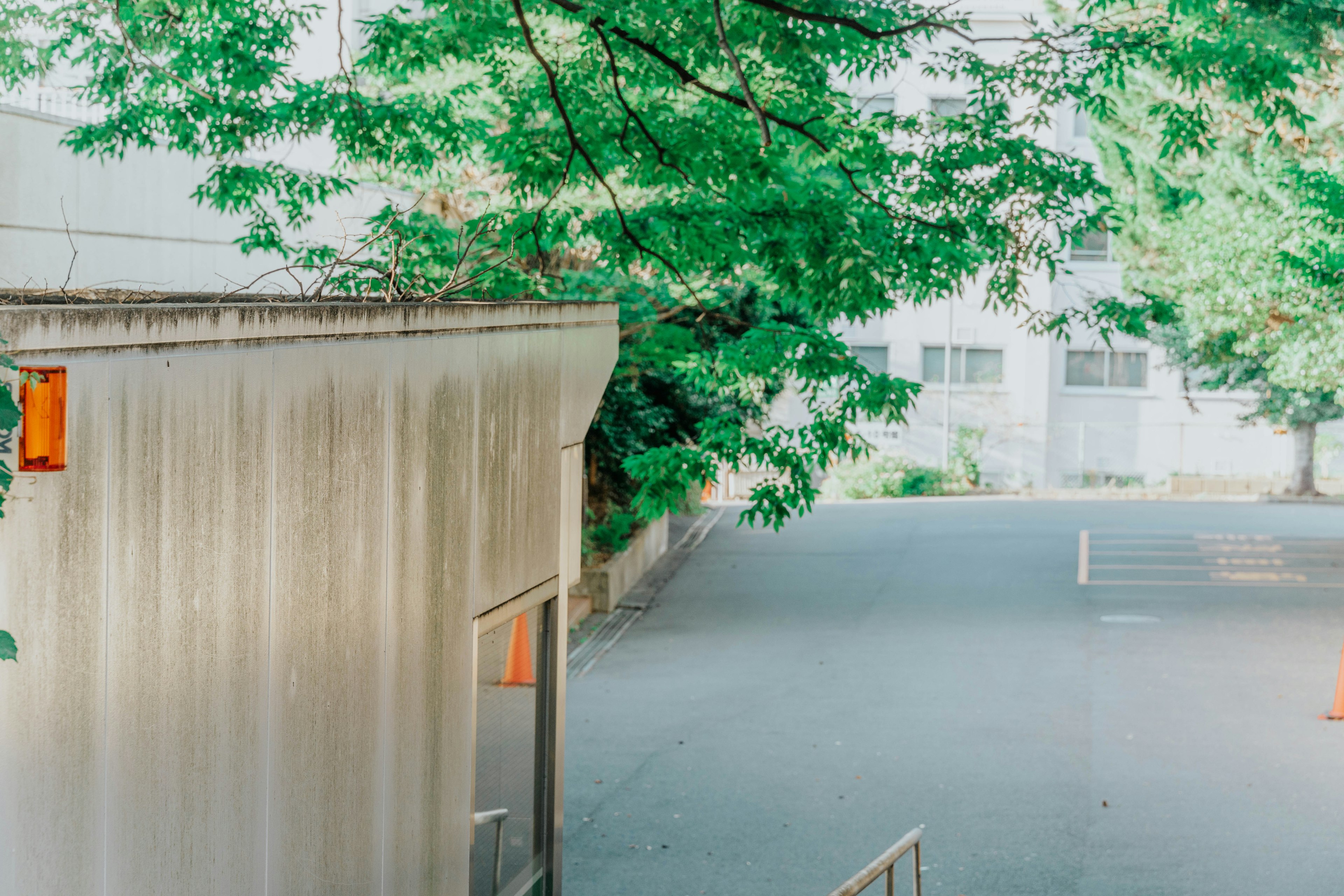 Un terrain vacant entouré d'arbres verts avec une partie d'un bâtiment blanc