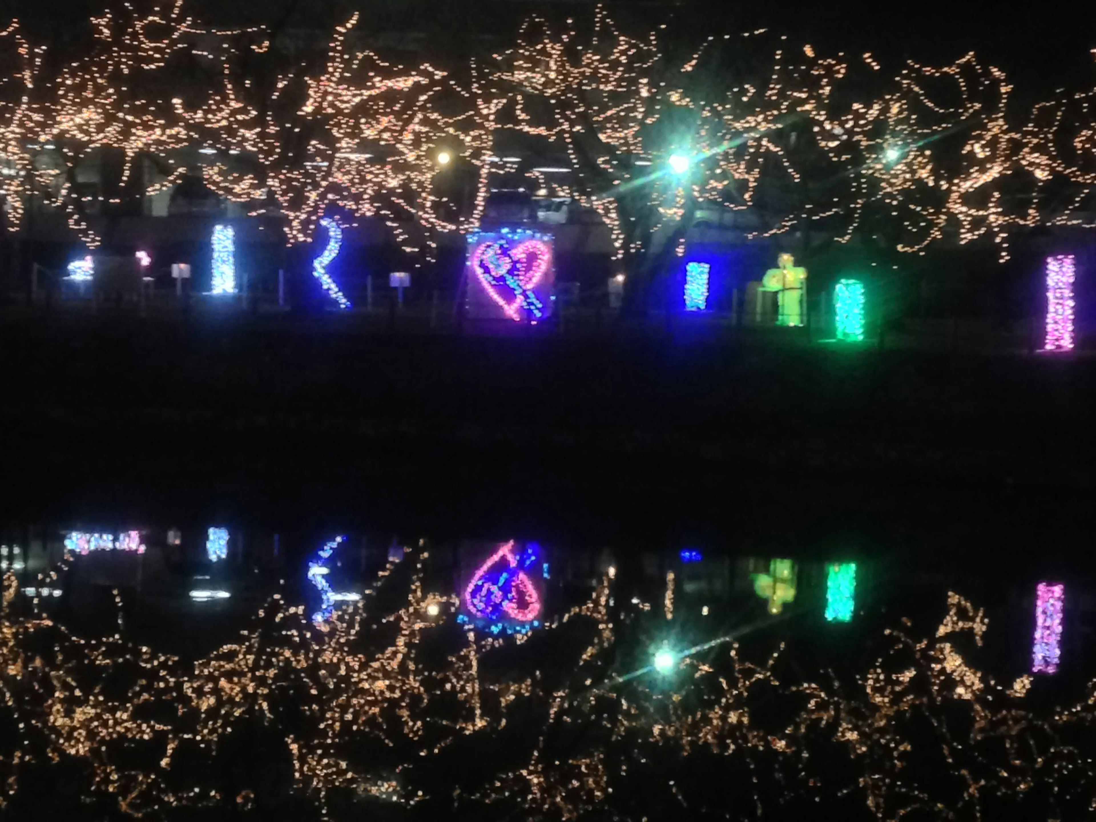 Luces coloridas brillando alrededor de un estanque por la noche con reflejos