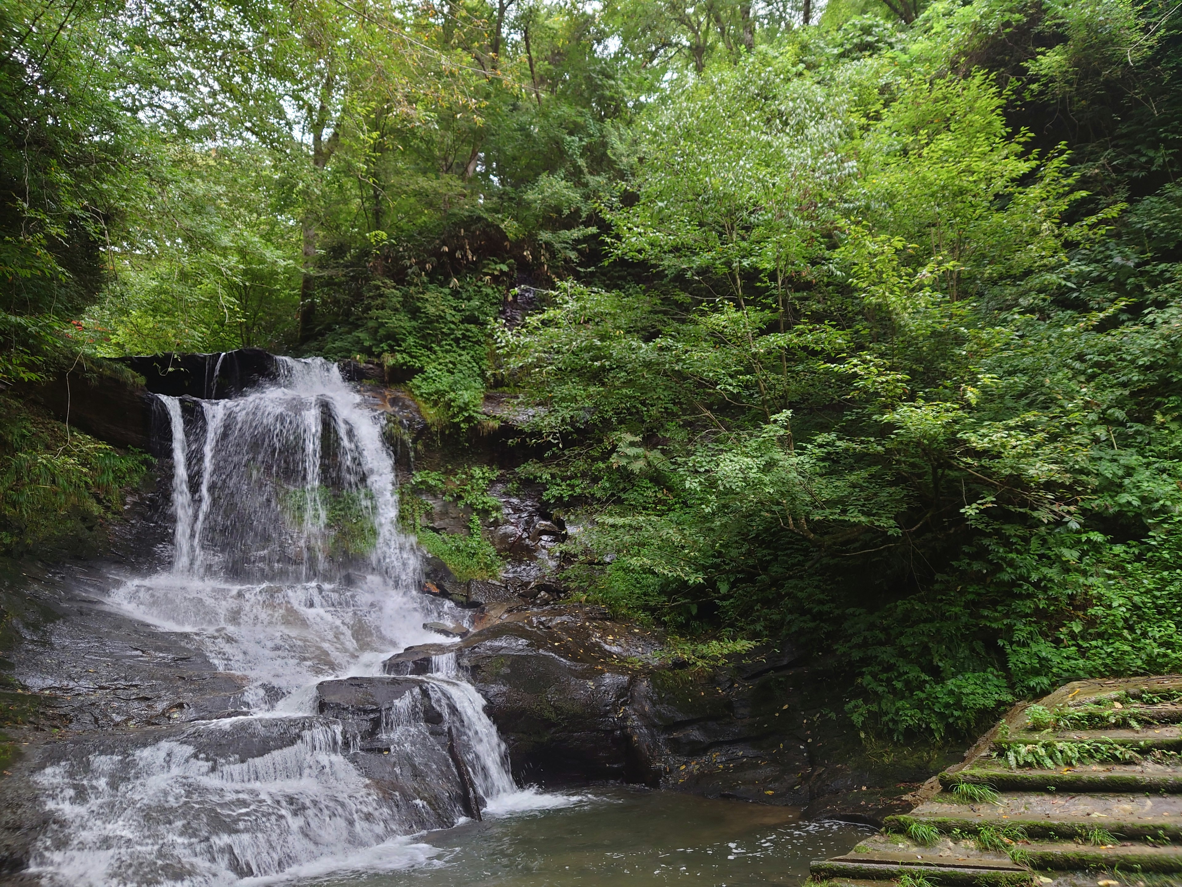 A small waterfall surrounded by lush green foliage and calm water