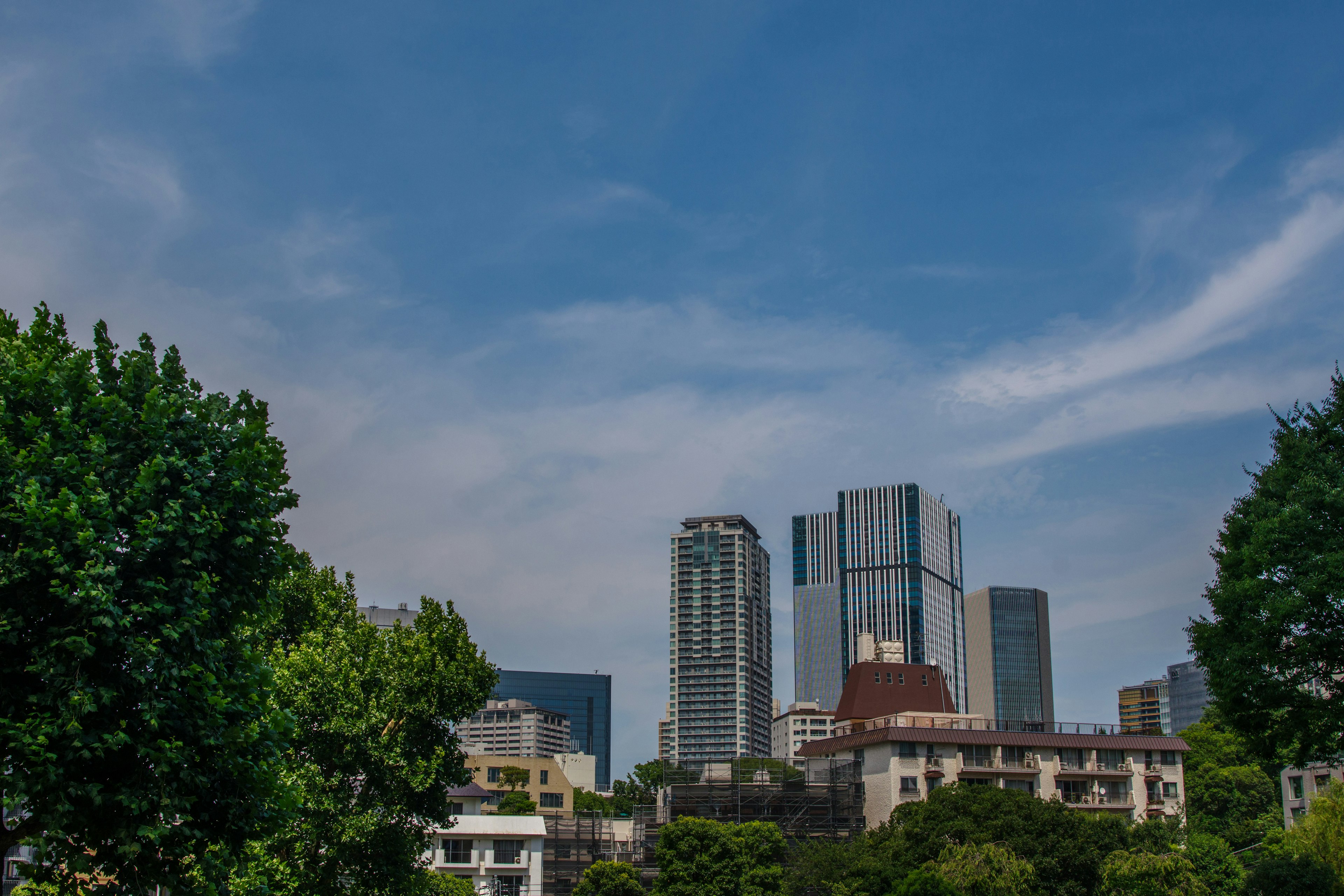 Stadtansicht mit Wolkenkratzern unter einem blauen Himmel und grünen Bäumen im Vordergrund