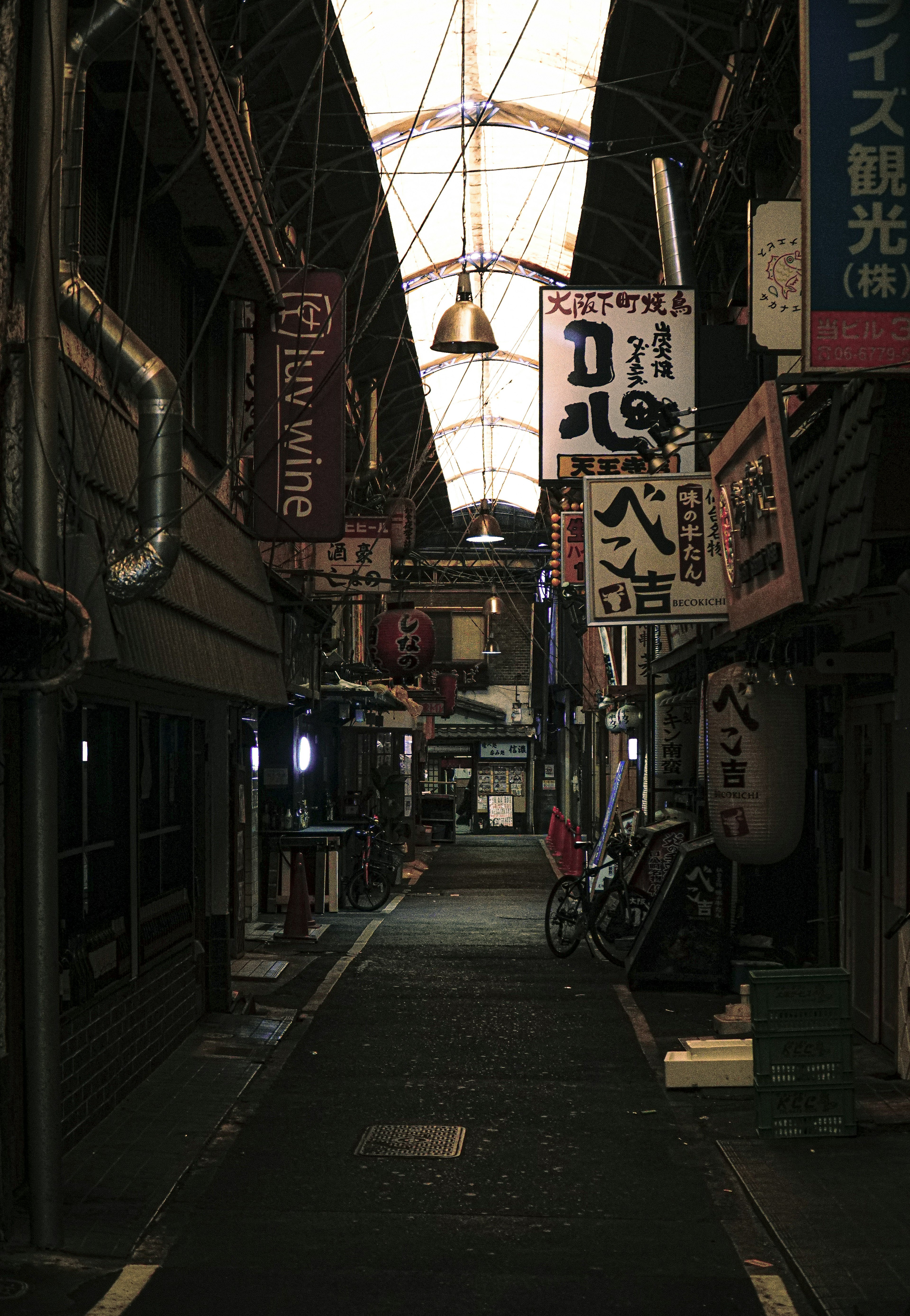 Narrow alley lined with signs and a dark atmosphere of a shopping district