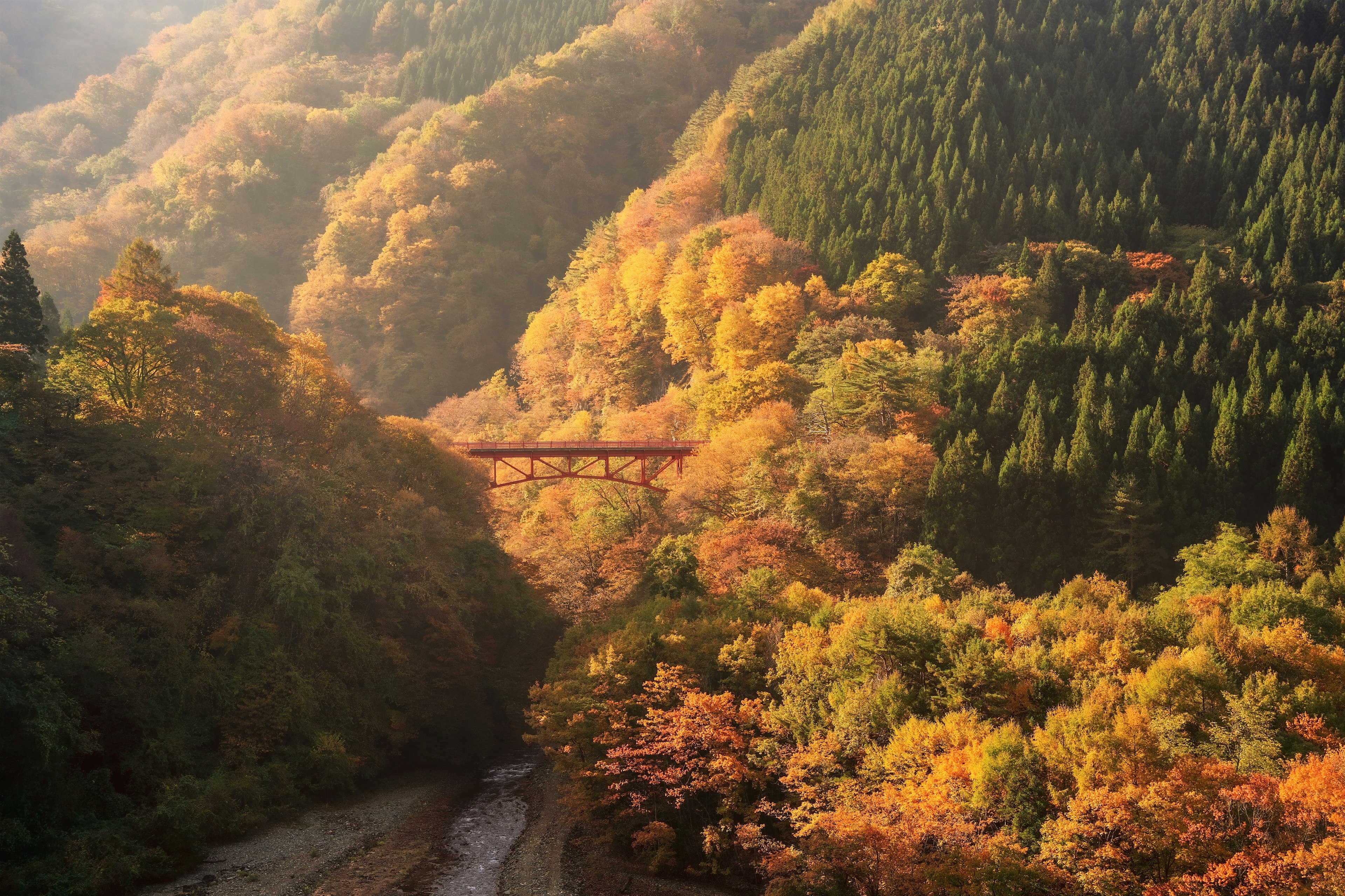 秋の紅葉に包まれた山々と川の風景 橋が美しく映える