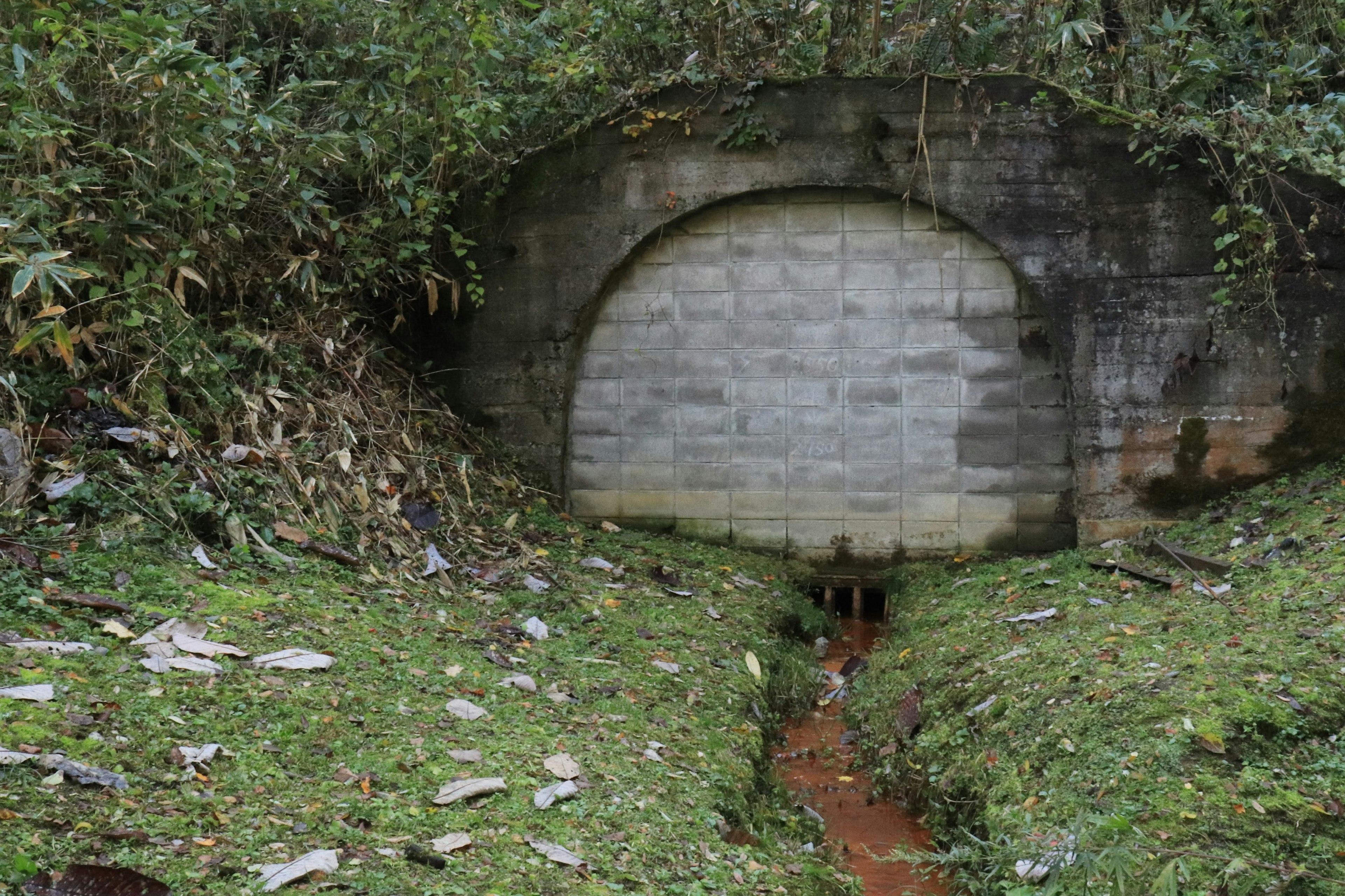 Entrance of a concrete bunker surrounded by greenery