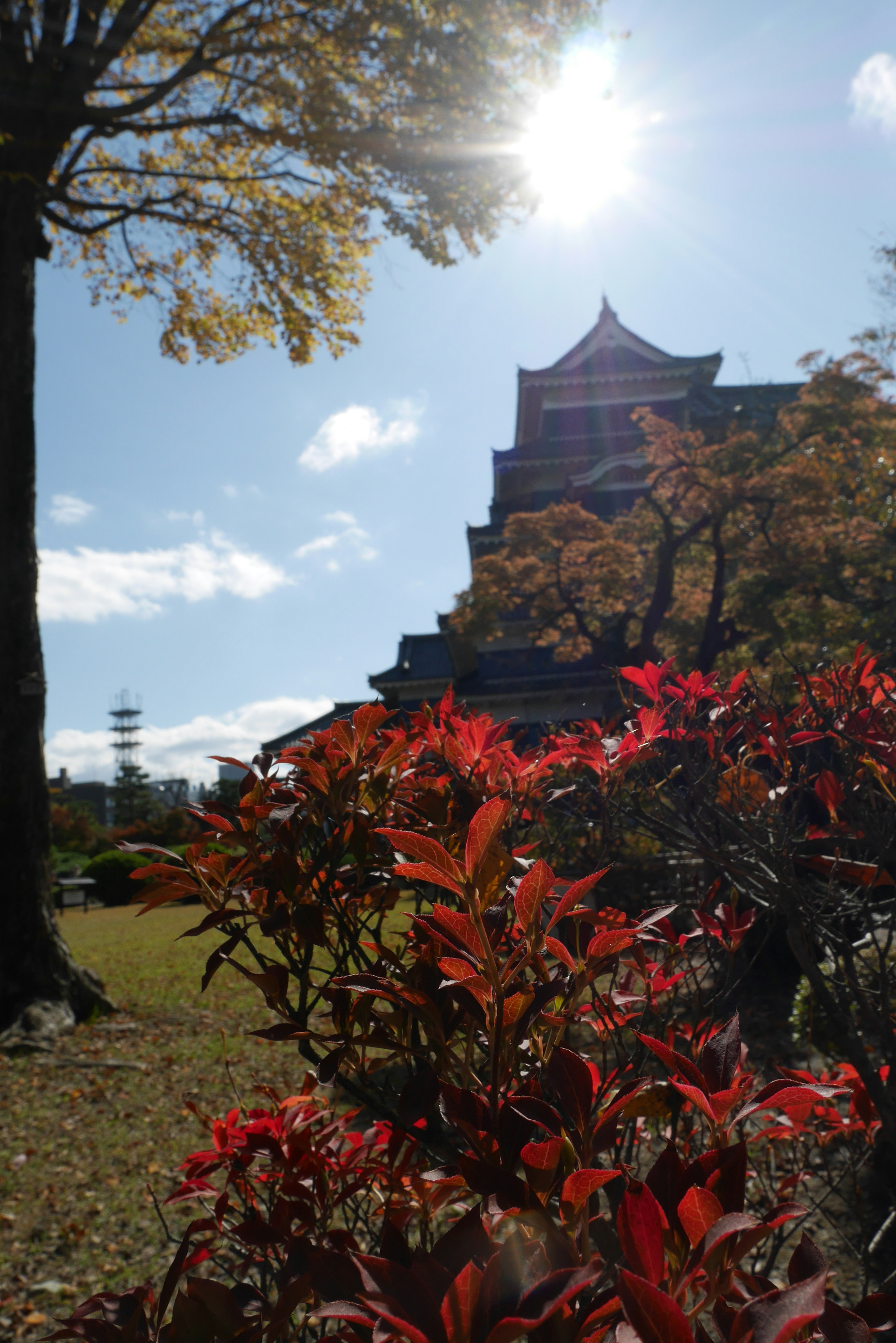 Château japonais entouré de feuillage d'automne et de plantes rouges