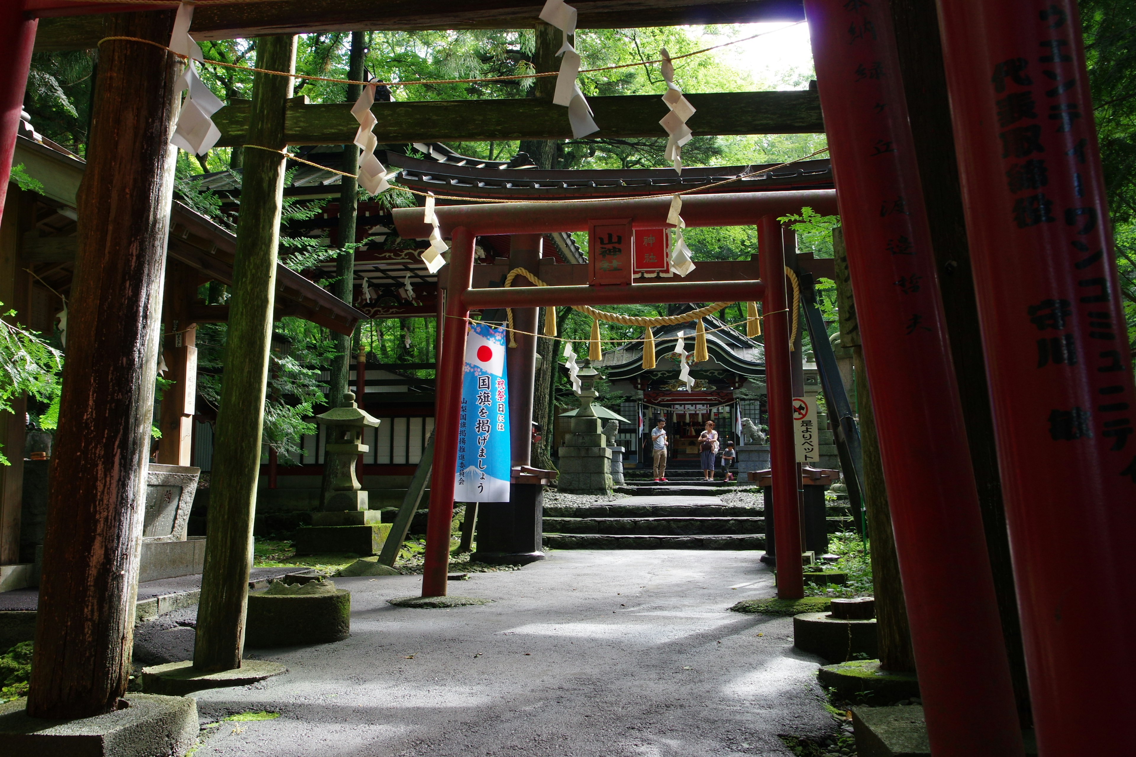 Pathway lined with torii gates in a lush green shrine